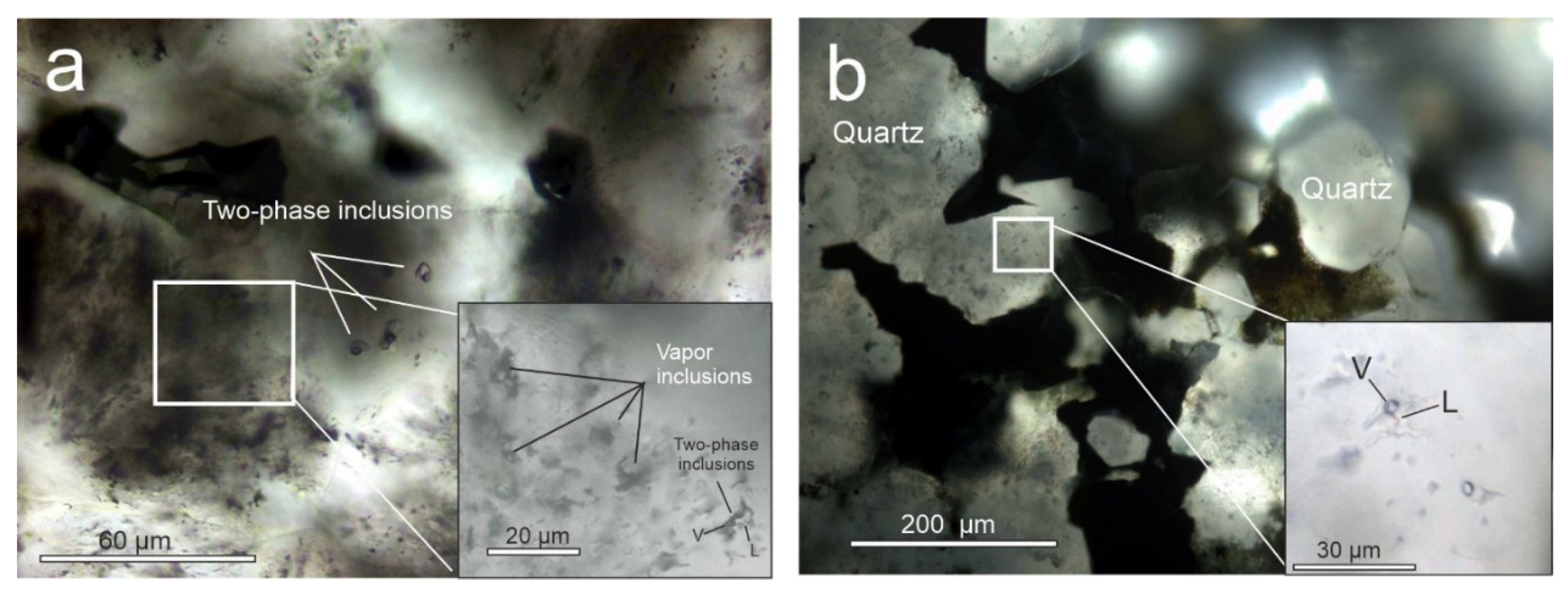 Minerals 11 01225 g011 550