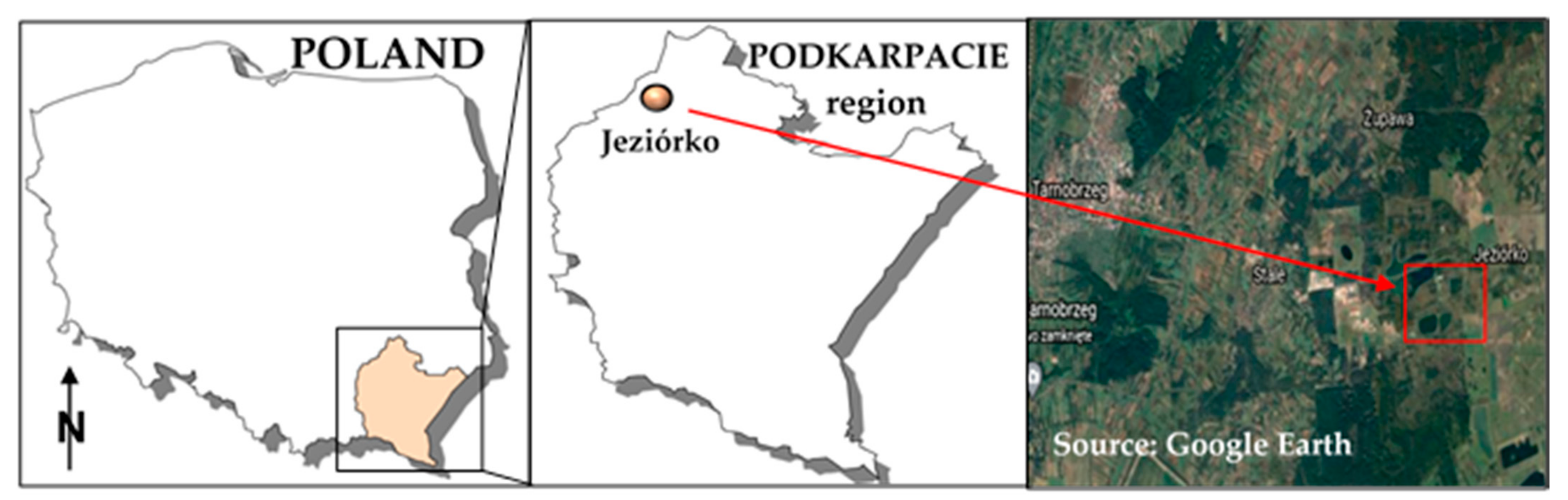 Minerals 11 01226 g001