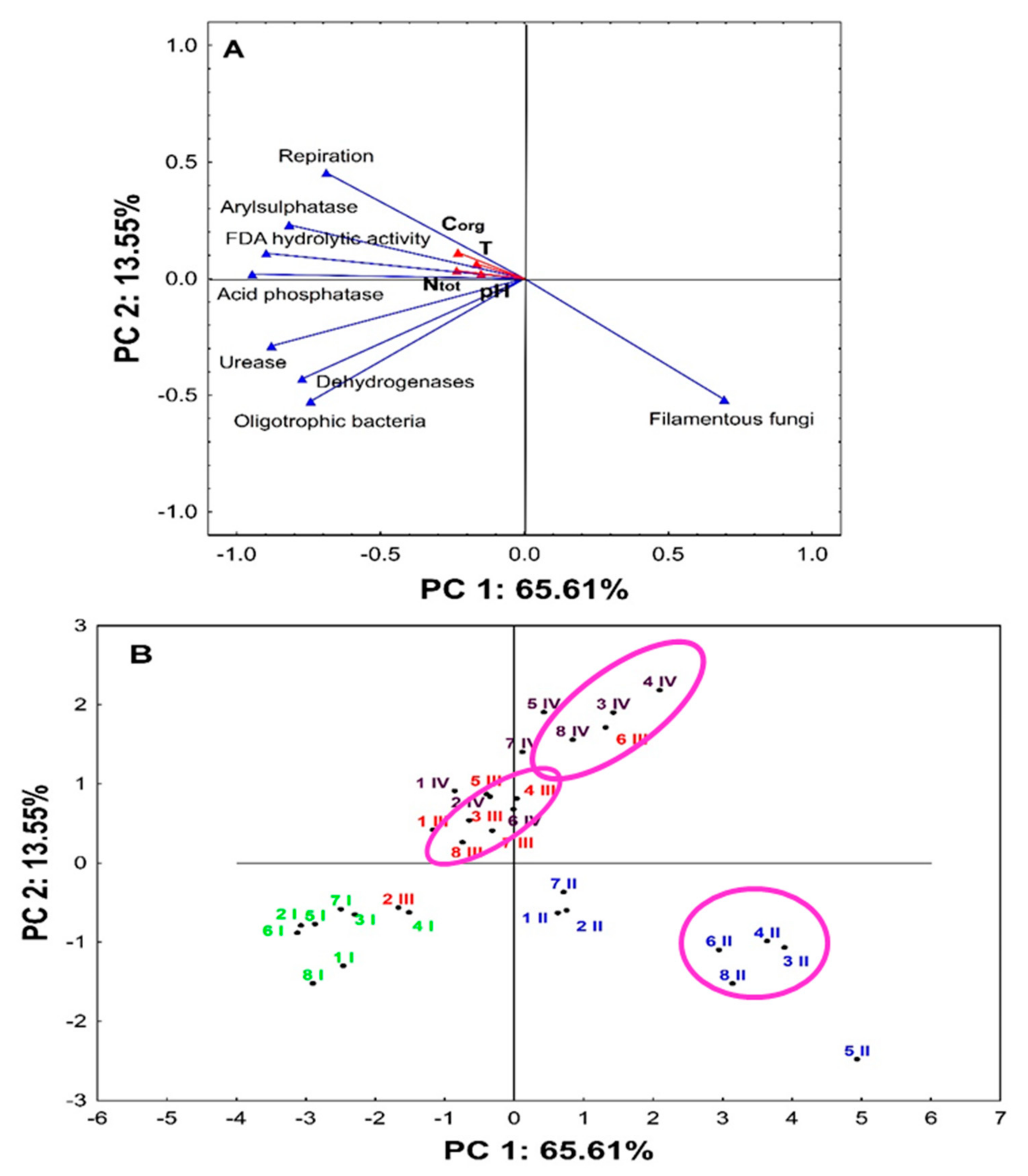 Minerals 11 01226 g006
