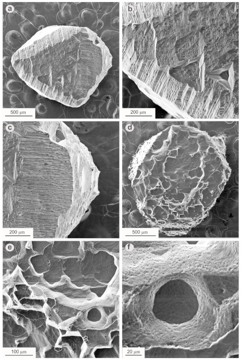 Minerals 11 01229 g003