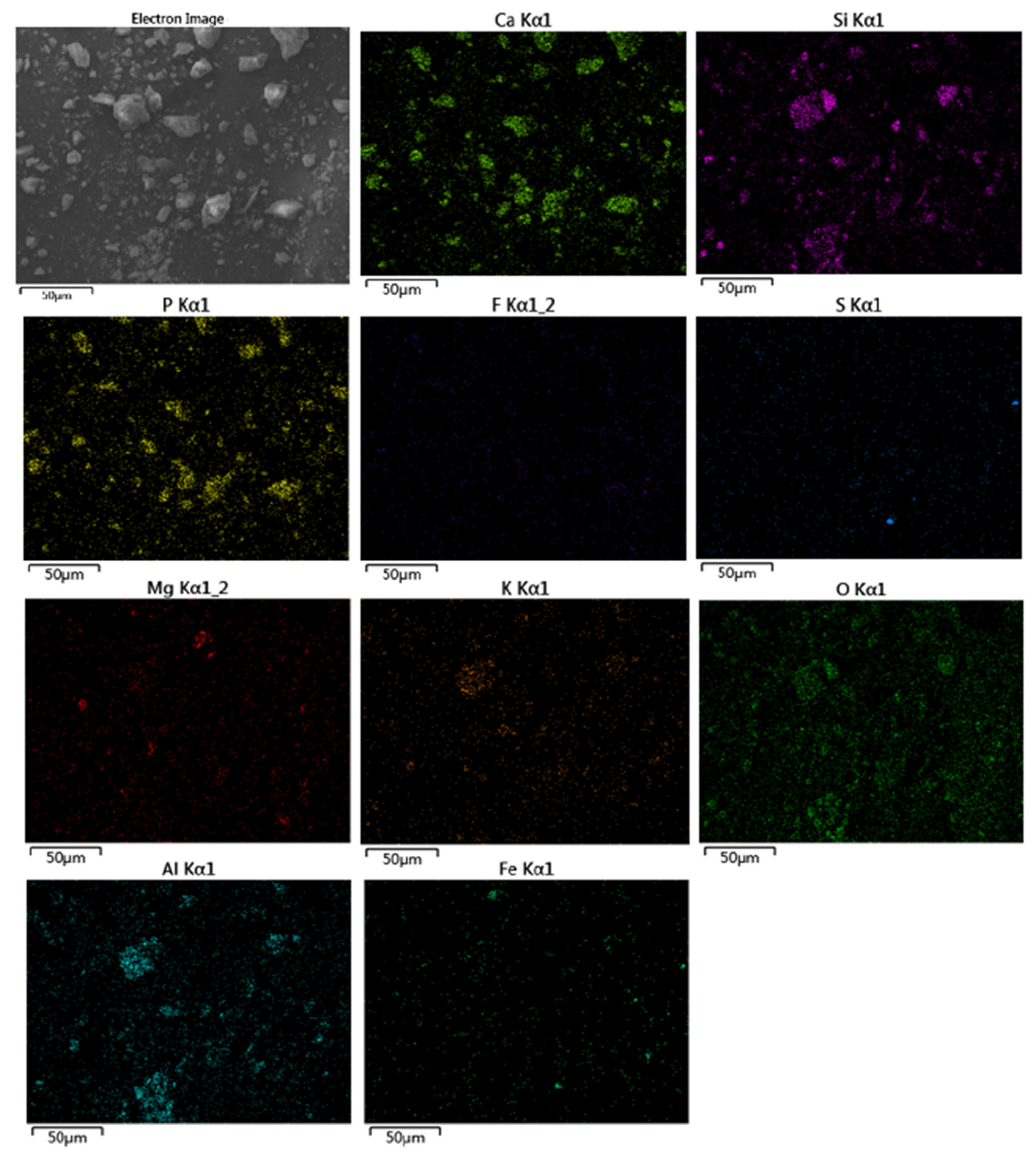 Minerals 11 01249 g002