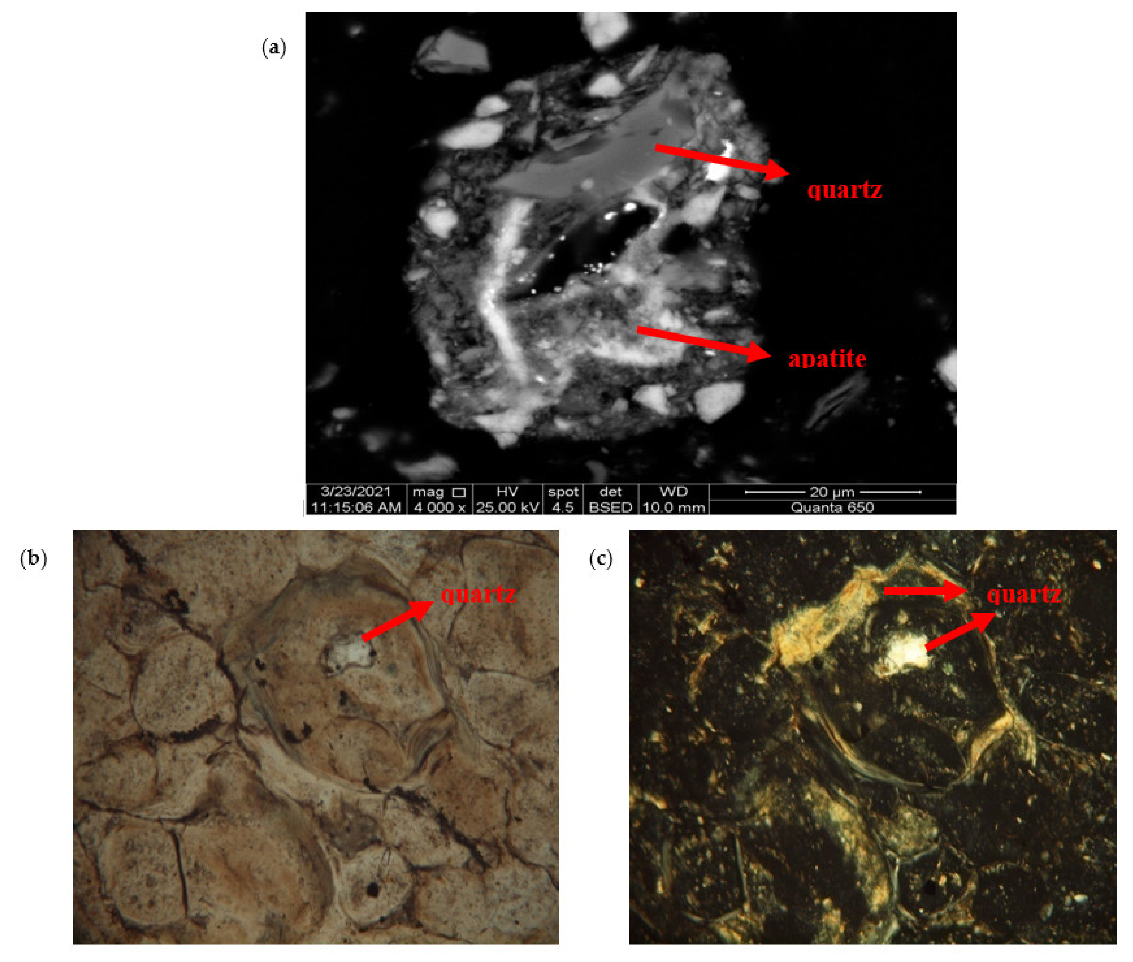 Minerals 11 01249 g006