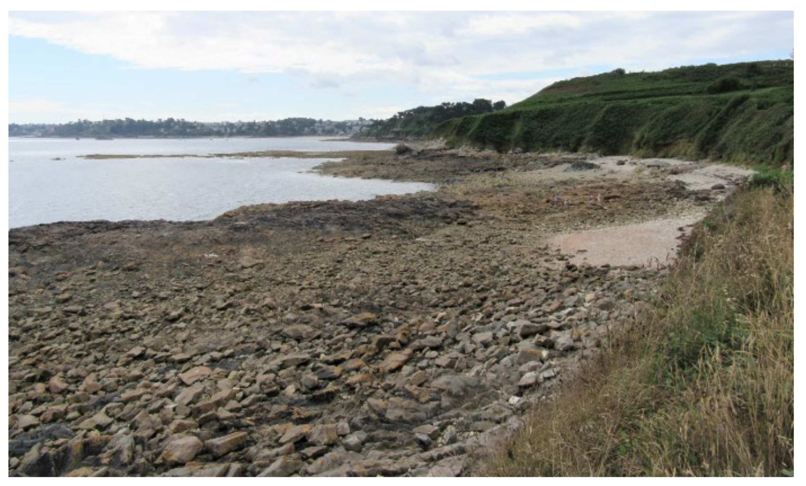 Minerals 11 01259 g001