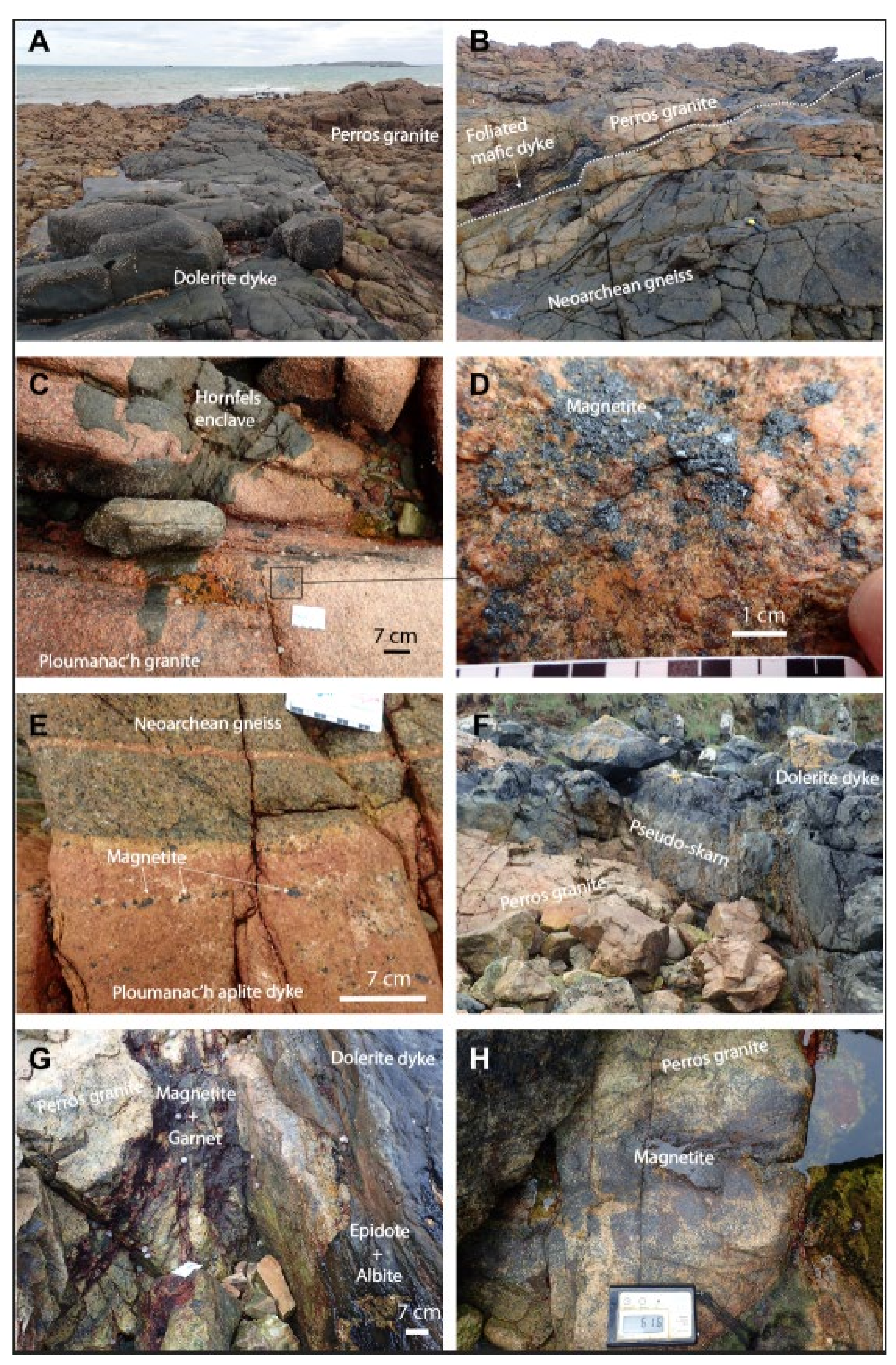 Minerals 11 01259 g005