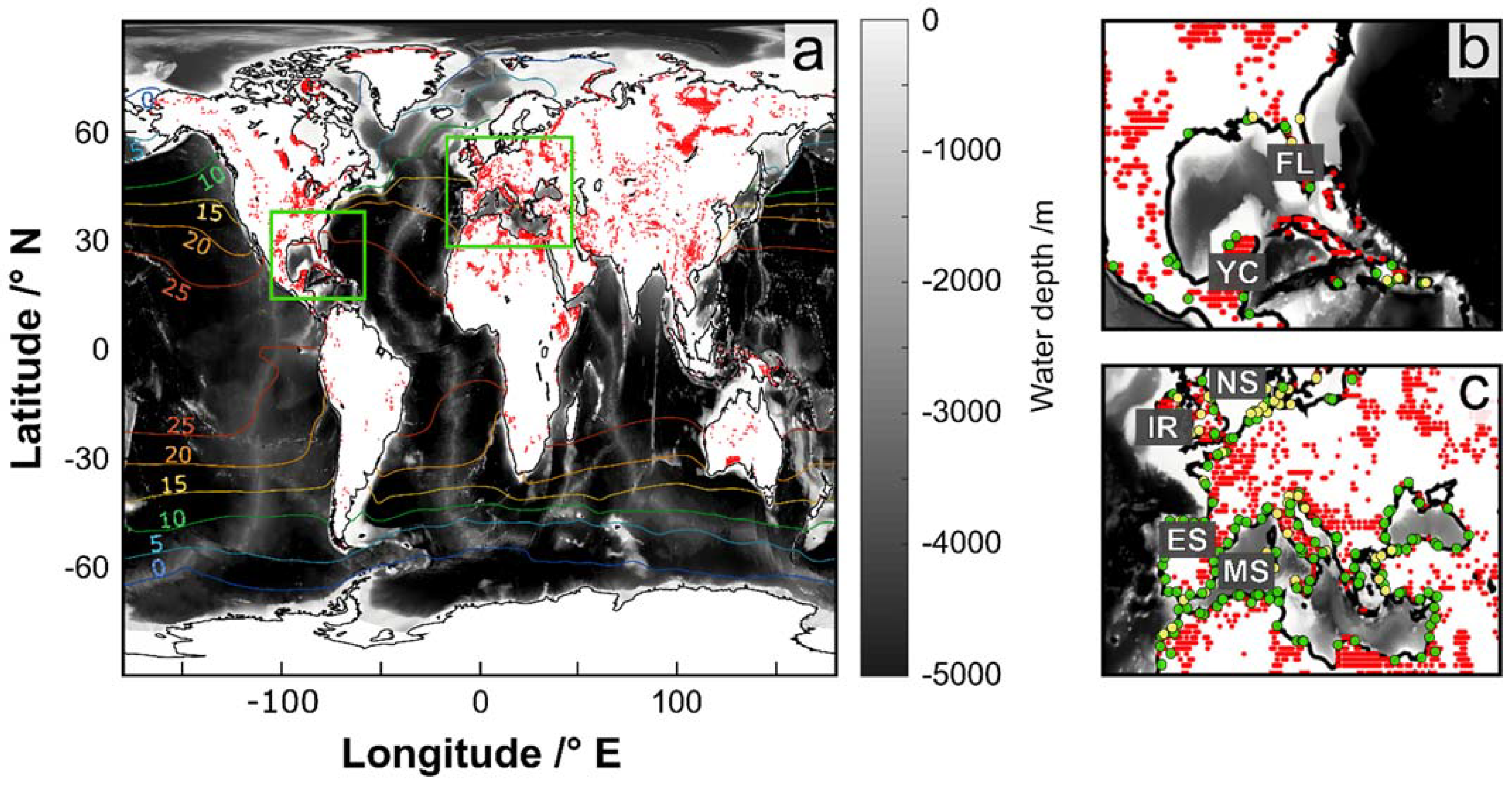 Minerals 11 01261 g003