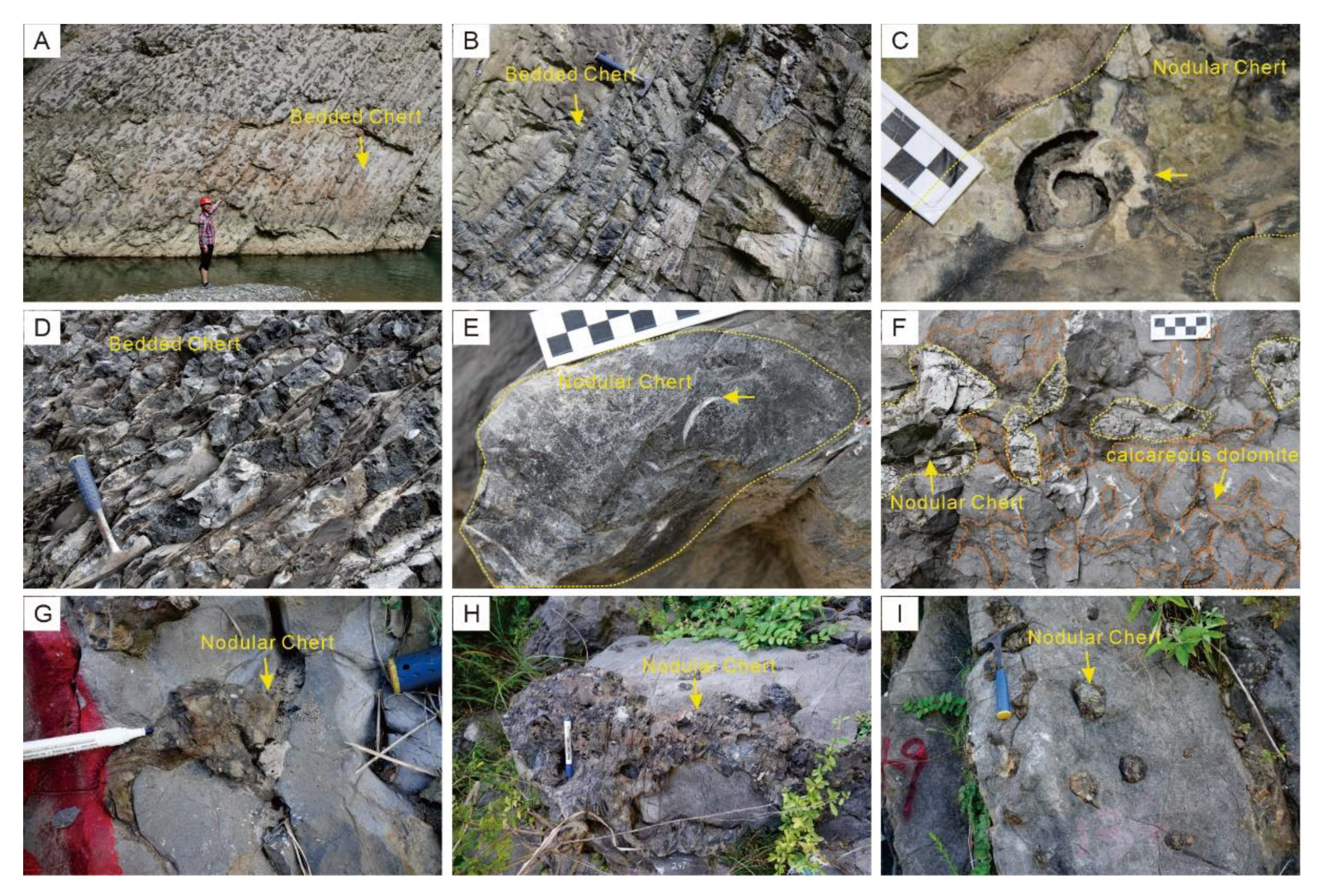 Minerals 11 01269 g003