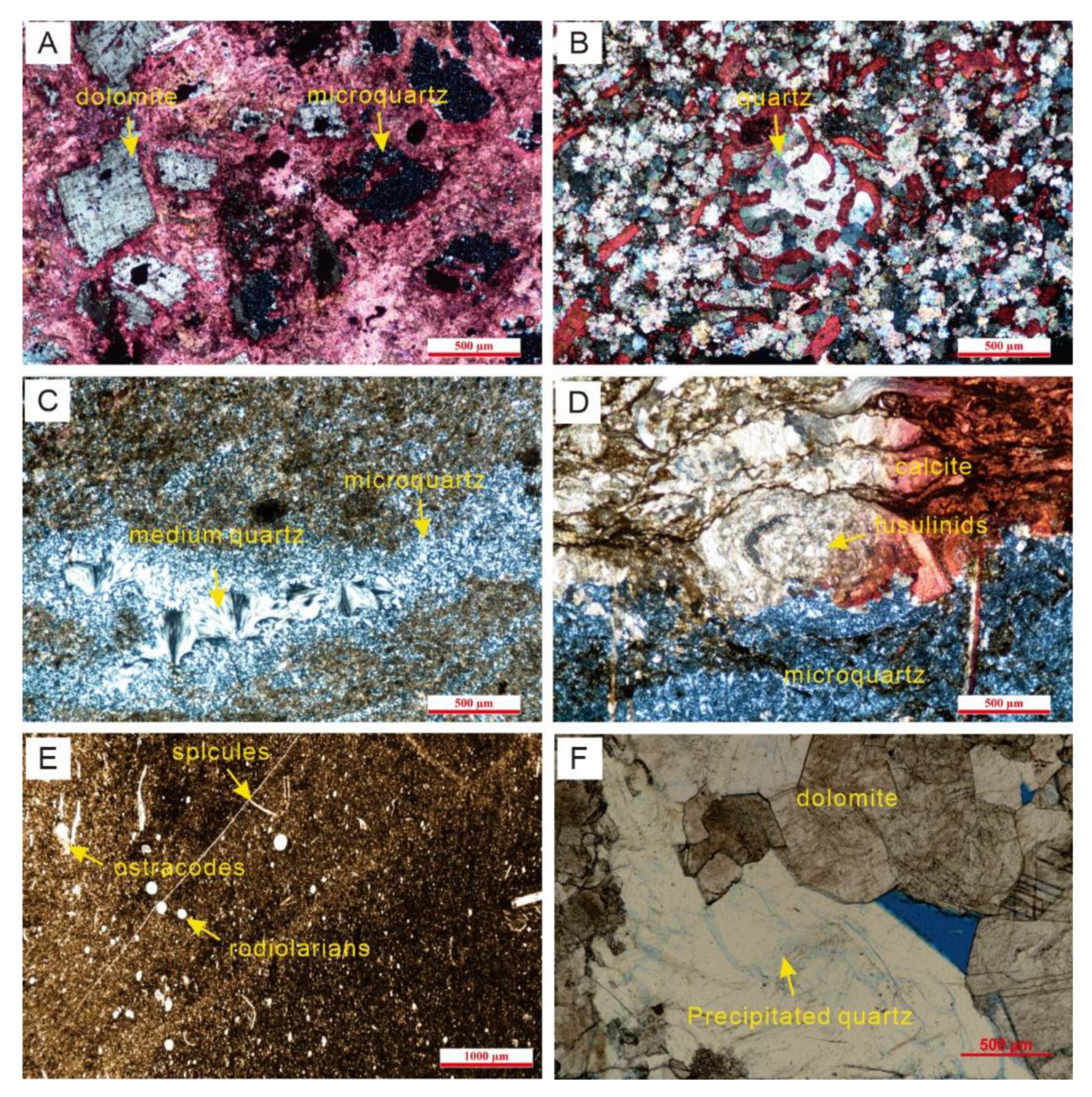 Minerals 11 01269 g004