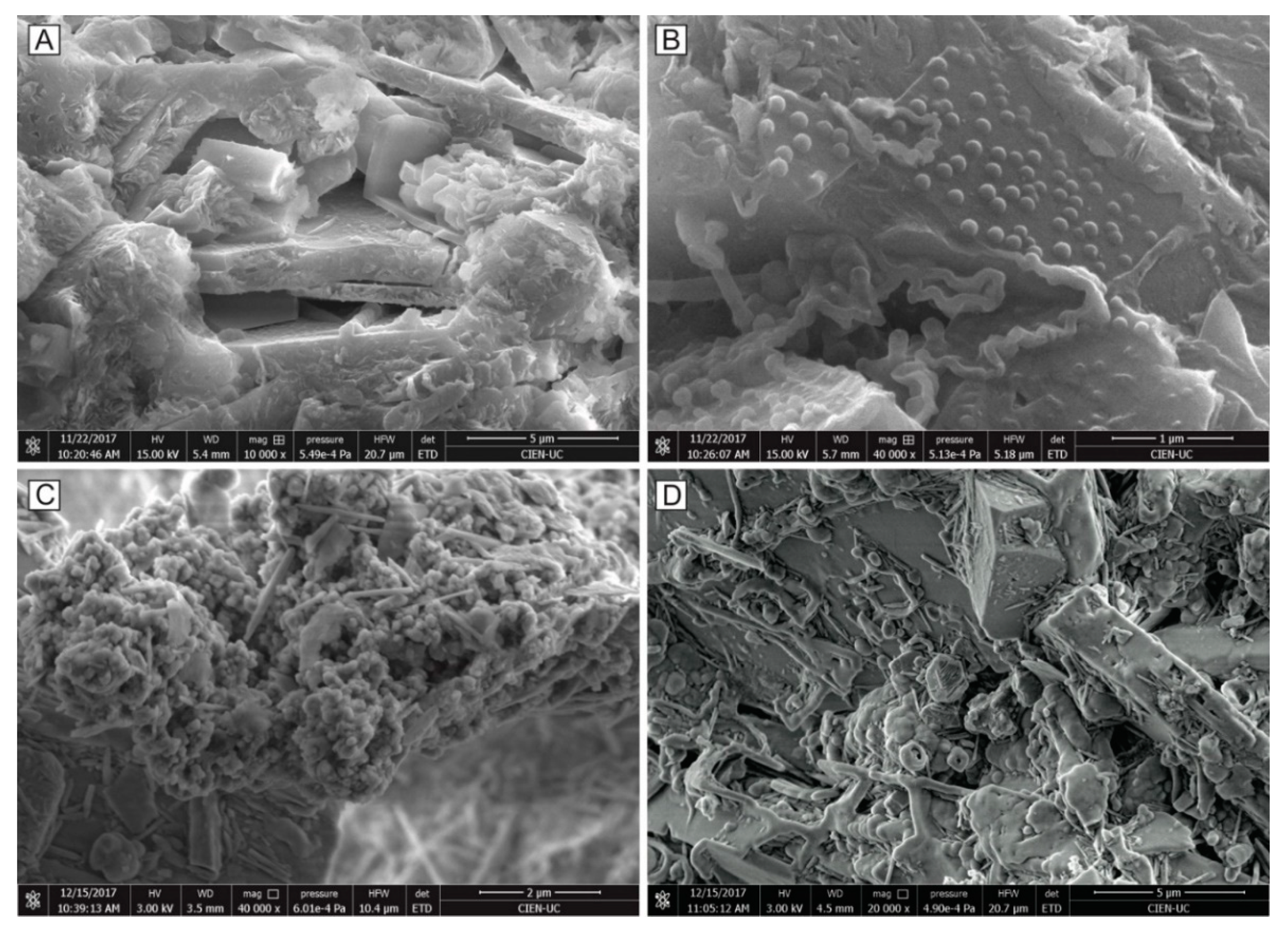 Minerals 11 01279 g008