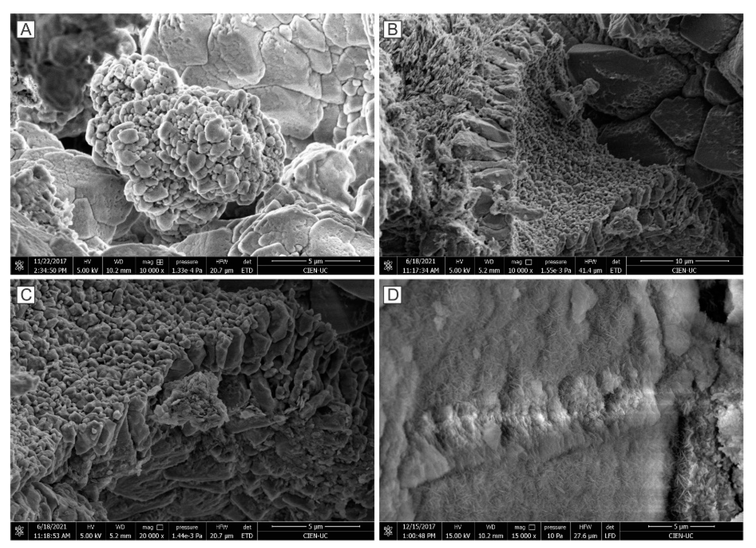 Minerals 11 01279 g011