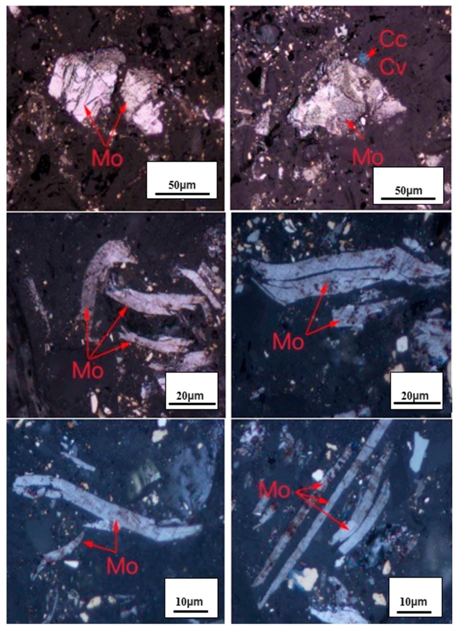 Minerals 11 01296 g002 550