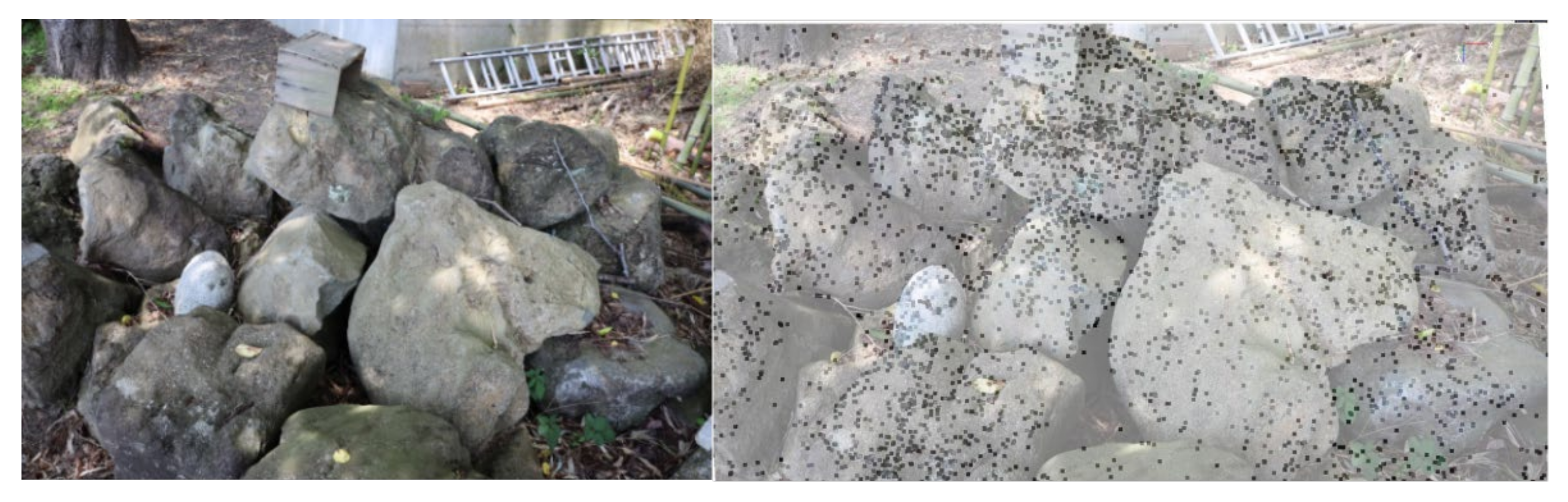 Minerals 11 01301 g005 550