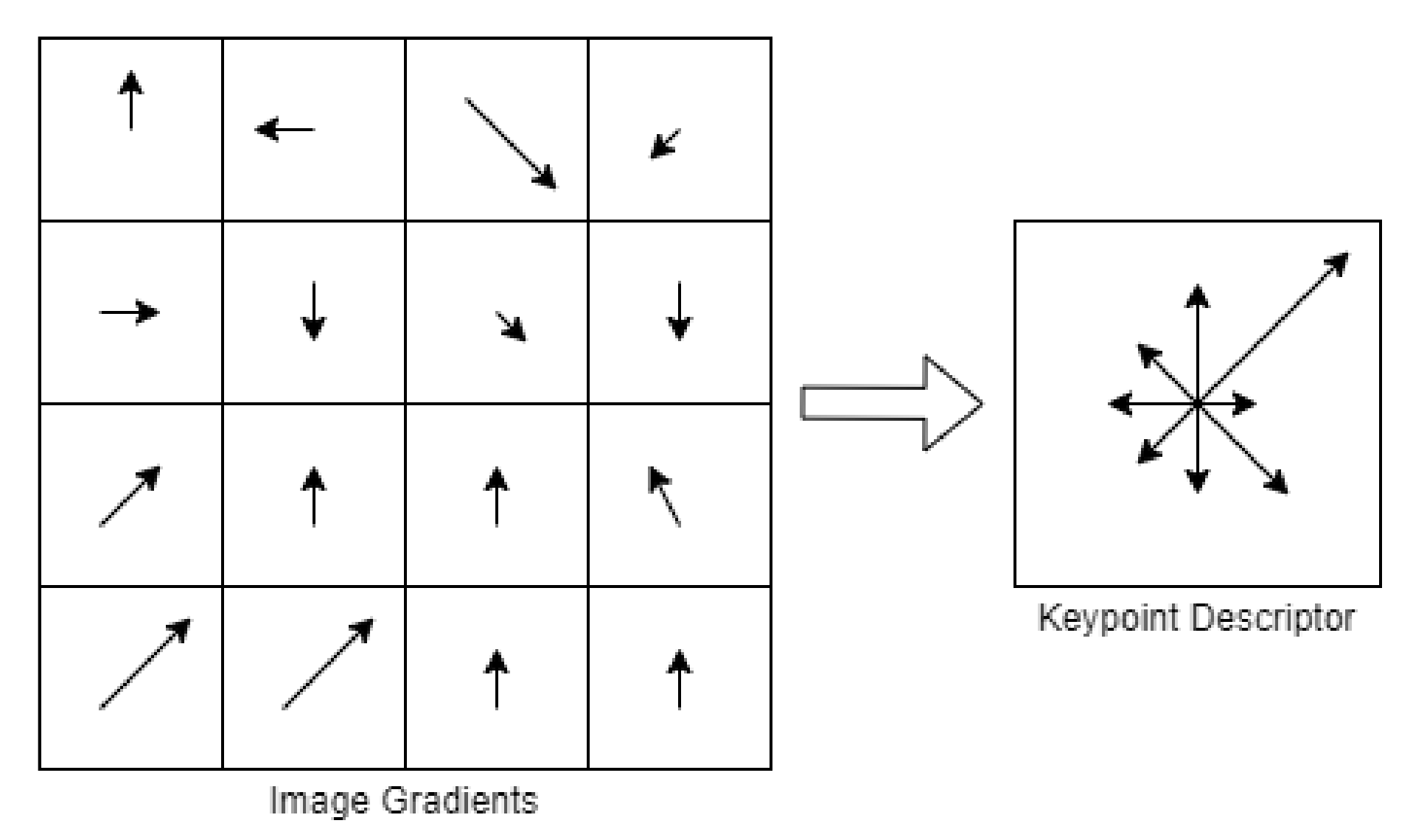 Minerals 11 01301 g006 550