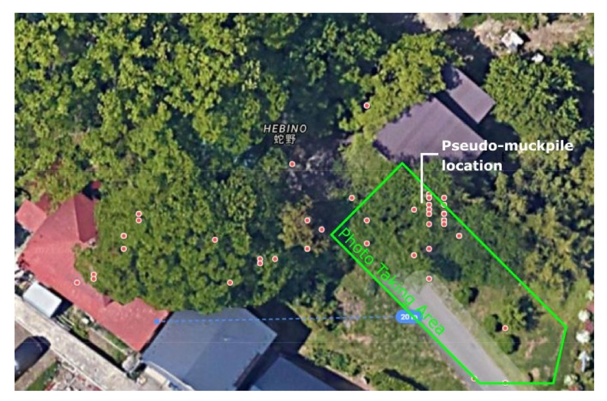 Minerals 11 01301 g018 550