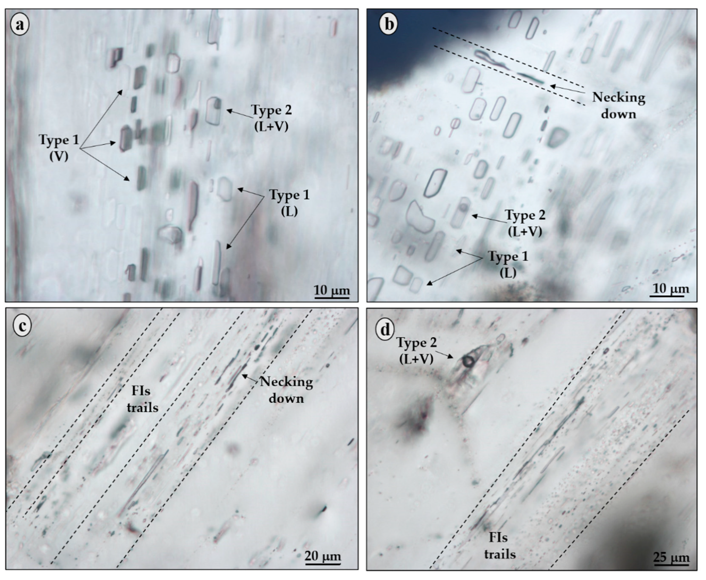 Minerals 11 01305 g004 550