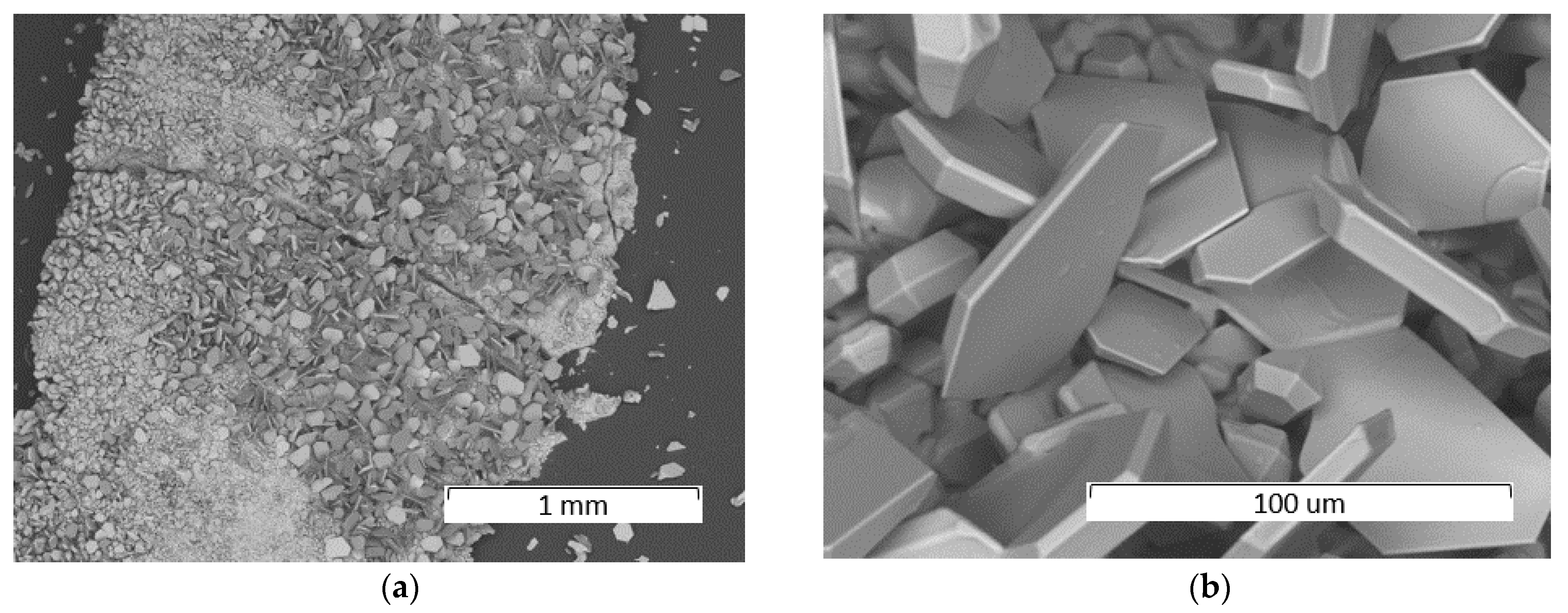Minerals 11 01310 g004 550