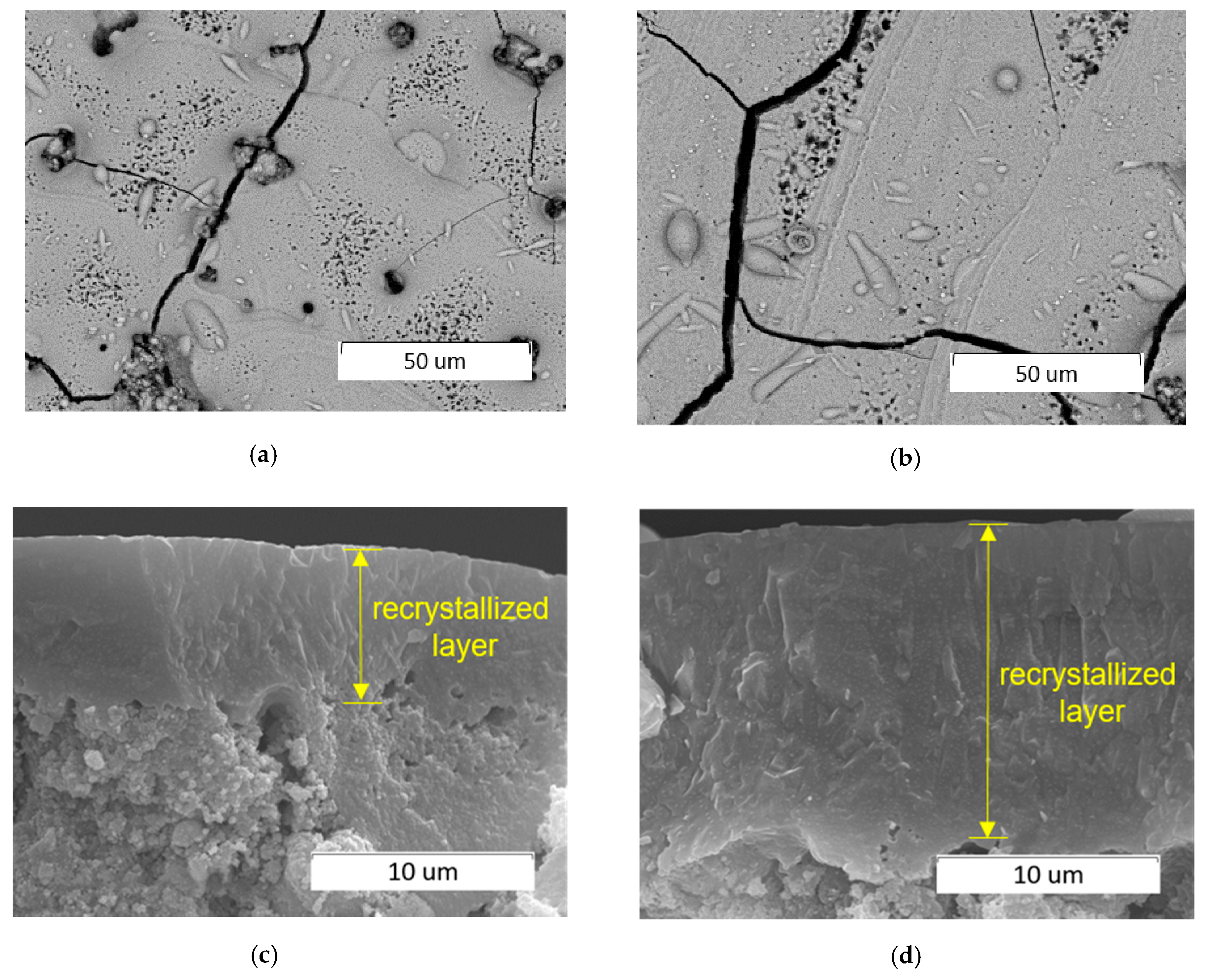 Minerals 11 01310 g008 550