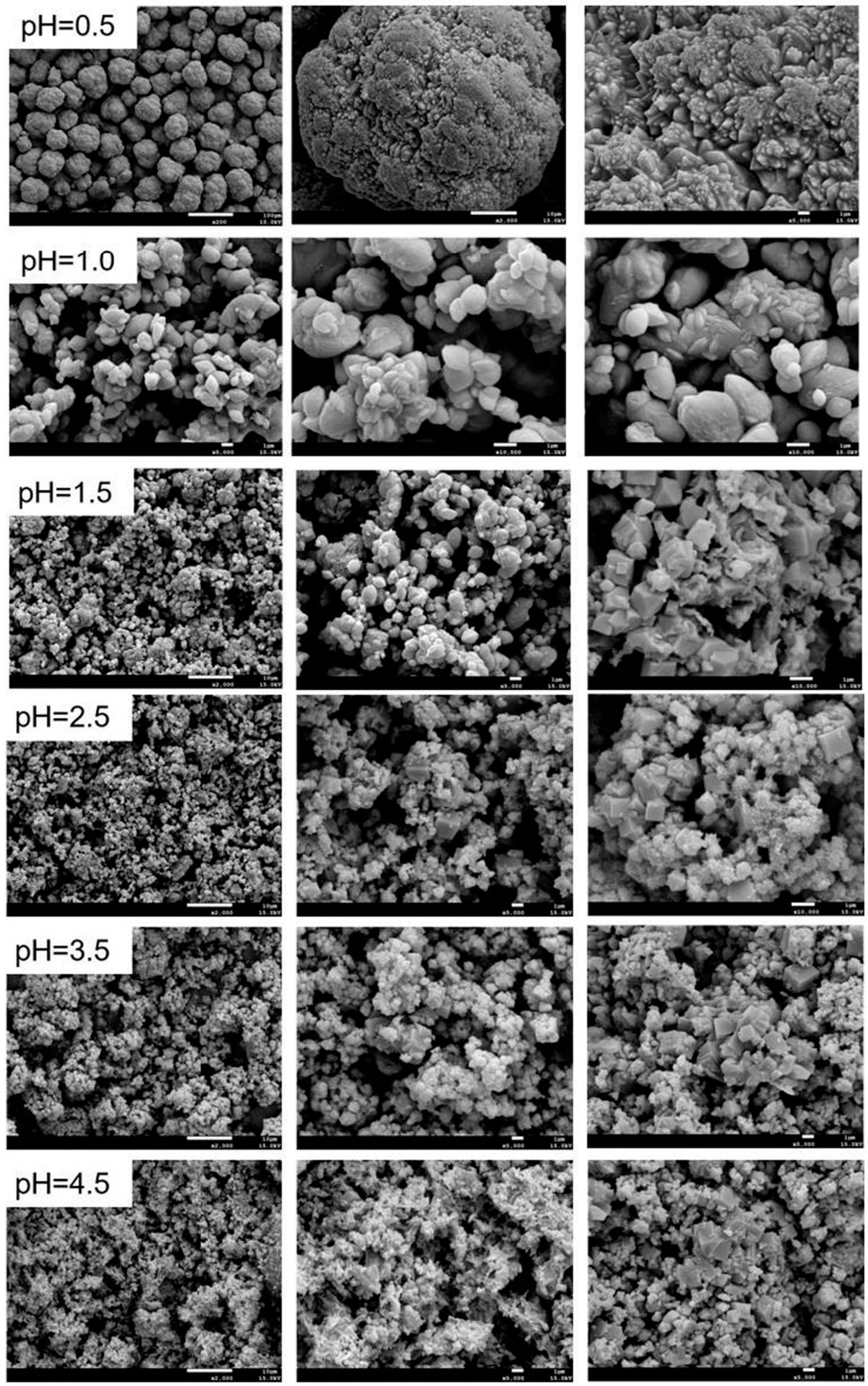 Minerals 11 01319 g010