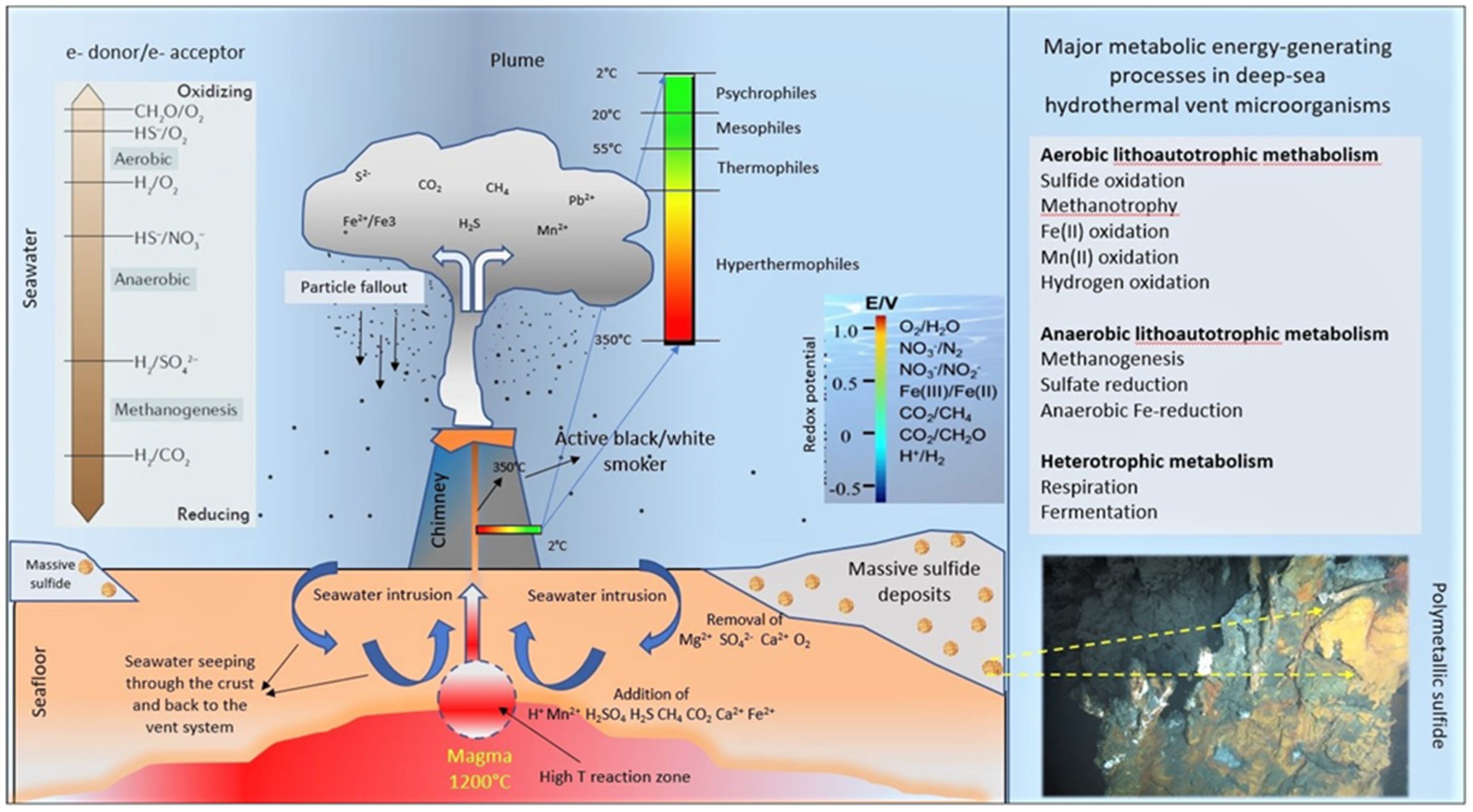 Minerals 11 01324 g003 Minerals 11 01324 g003