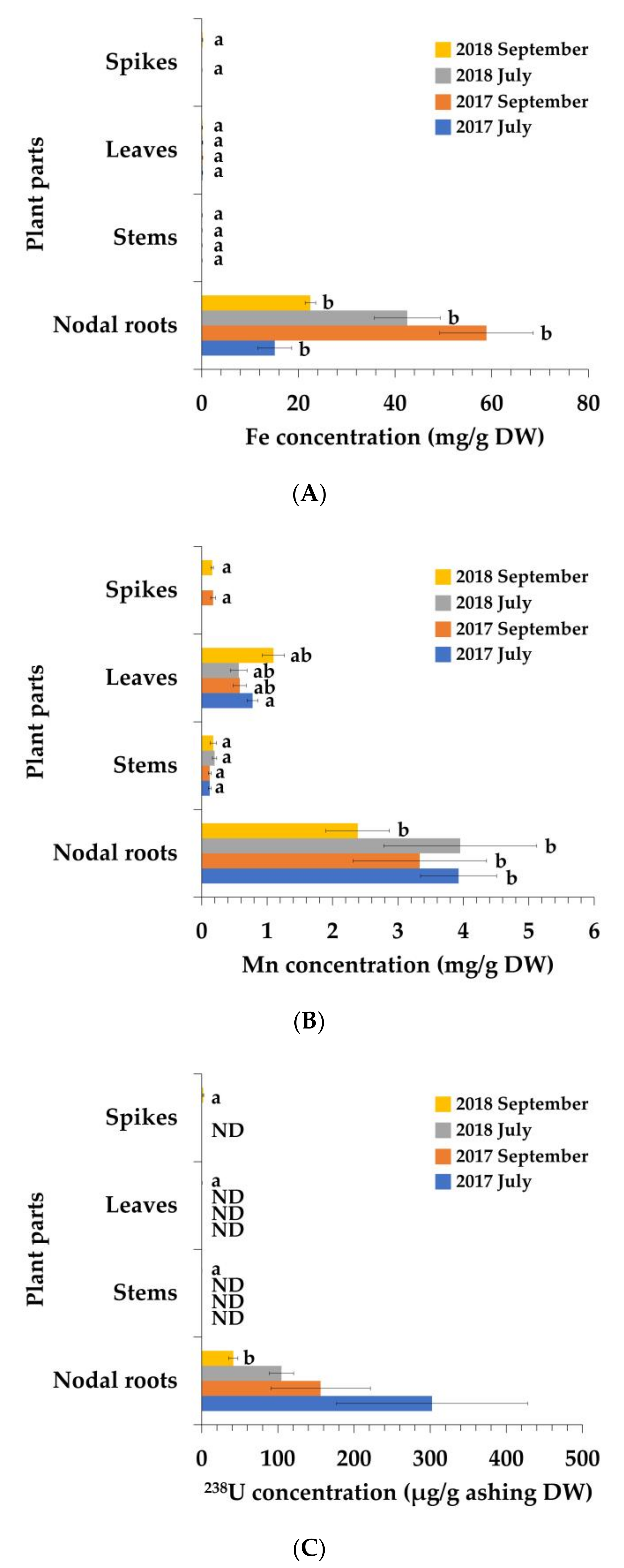 Minerals 11 01337 g001