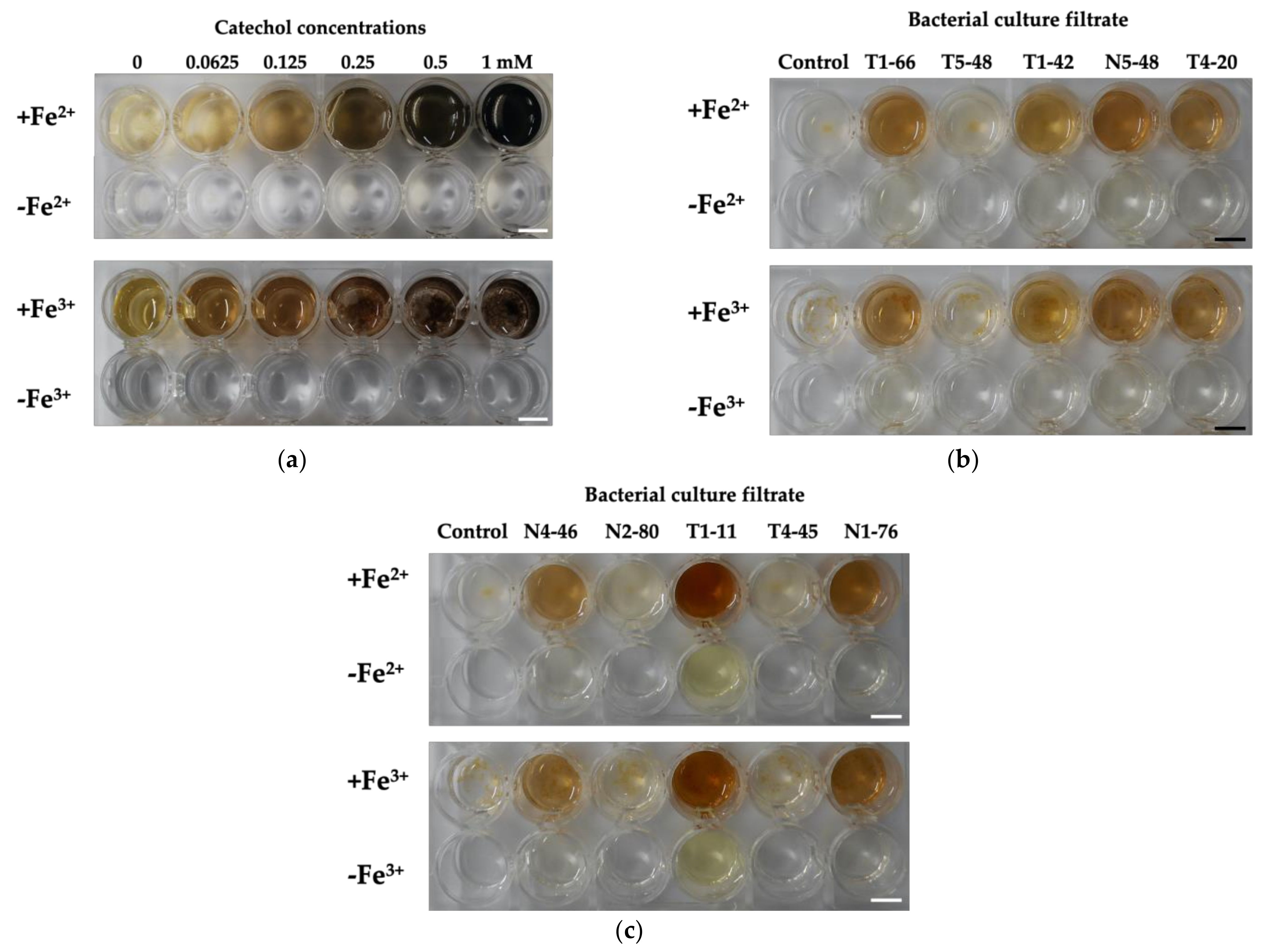 Minerals 11 01337 g005