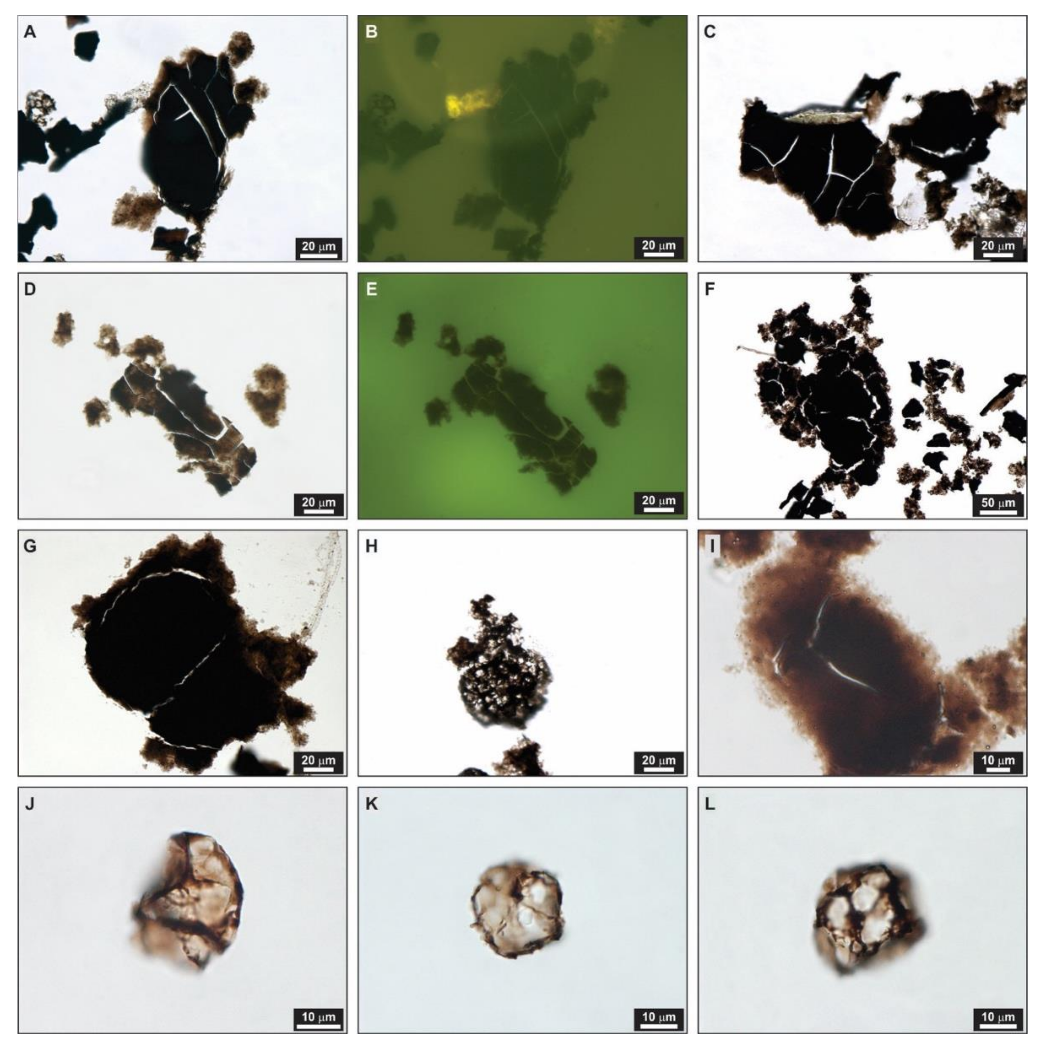 Minerals 11 01338 g003