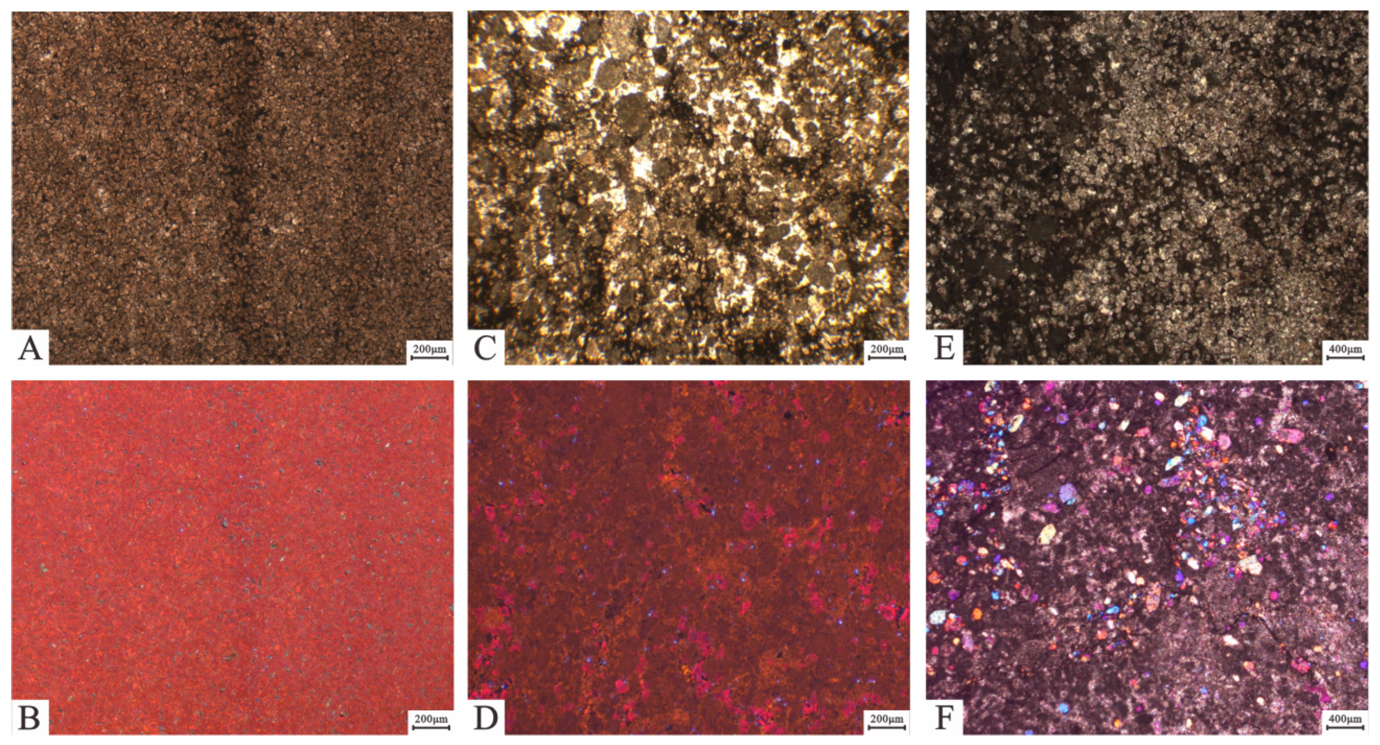 Minerals 11 01340 g002 550