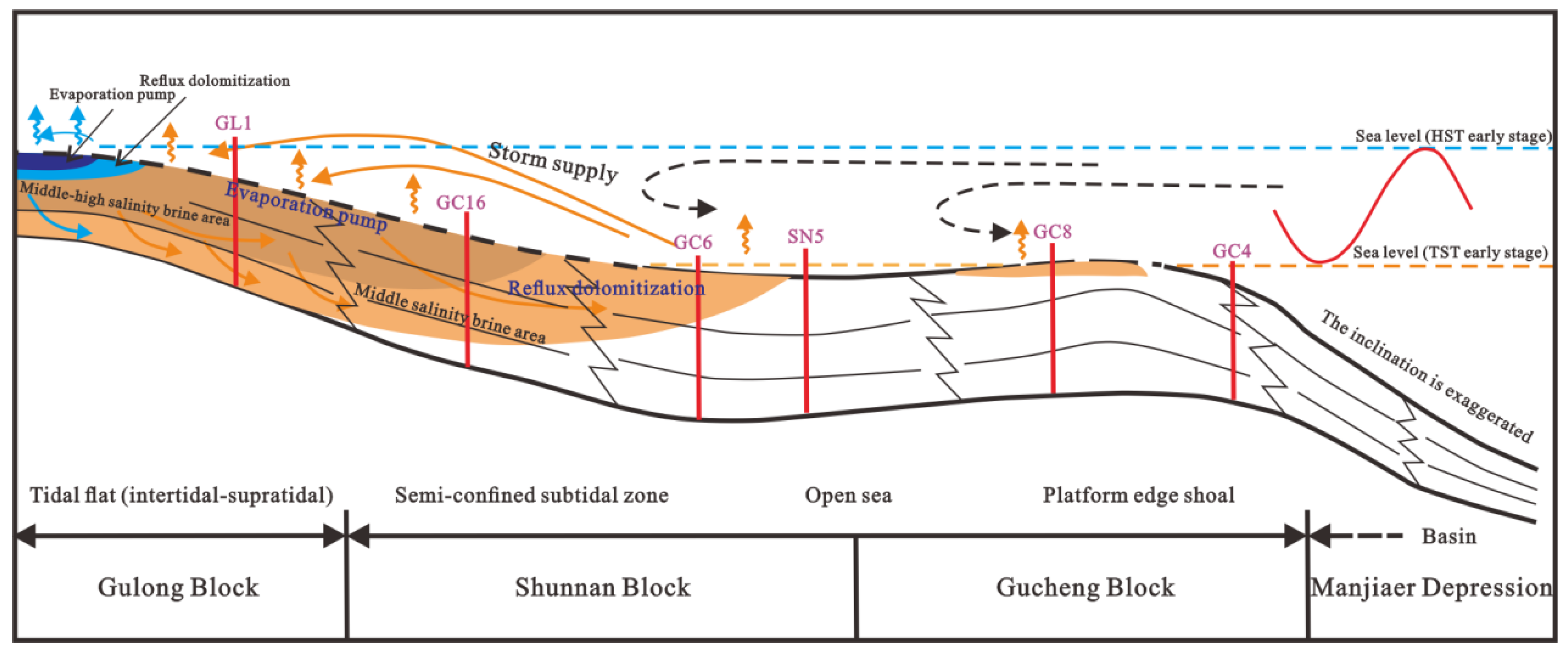 Minerals 11 01340 g005 550
