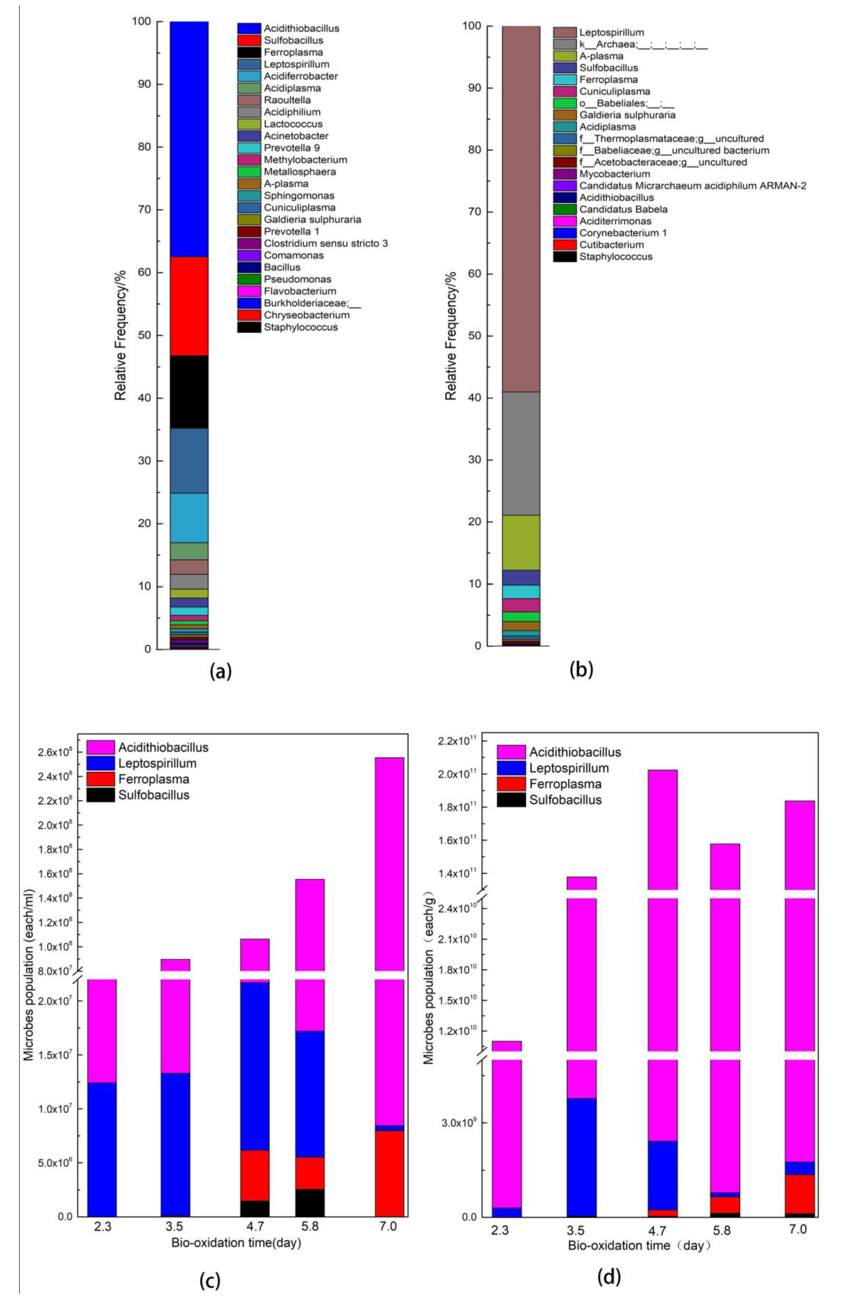 Minerals 11 01343 g007 550