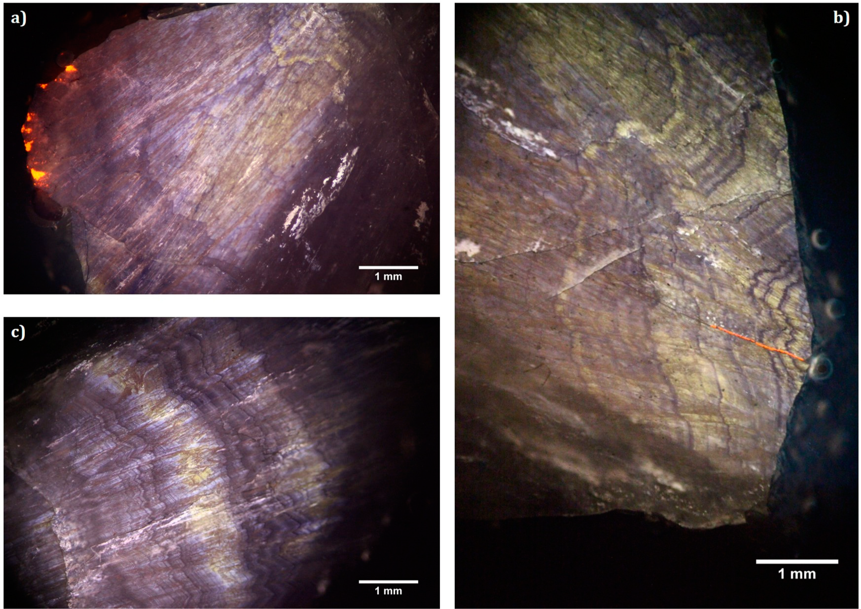 Minerals 11 01345 g003 Minerals 11 01345 g003