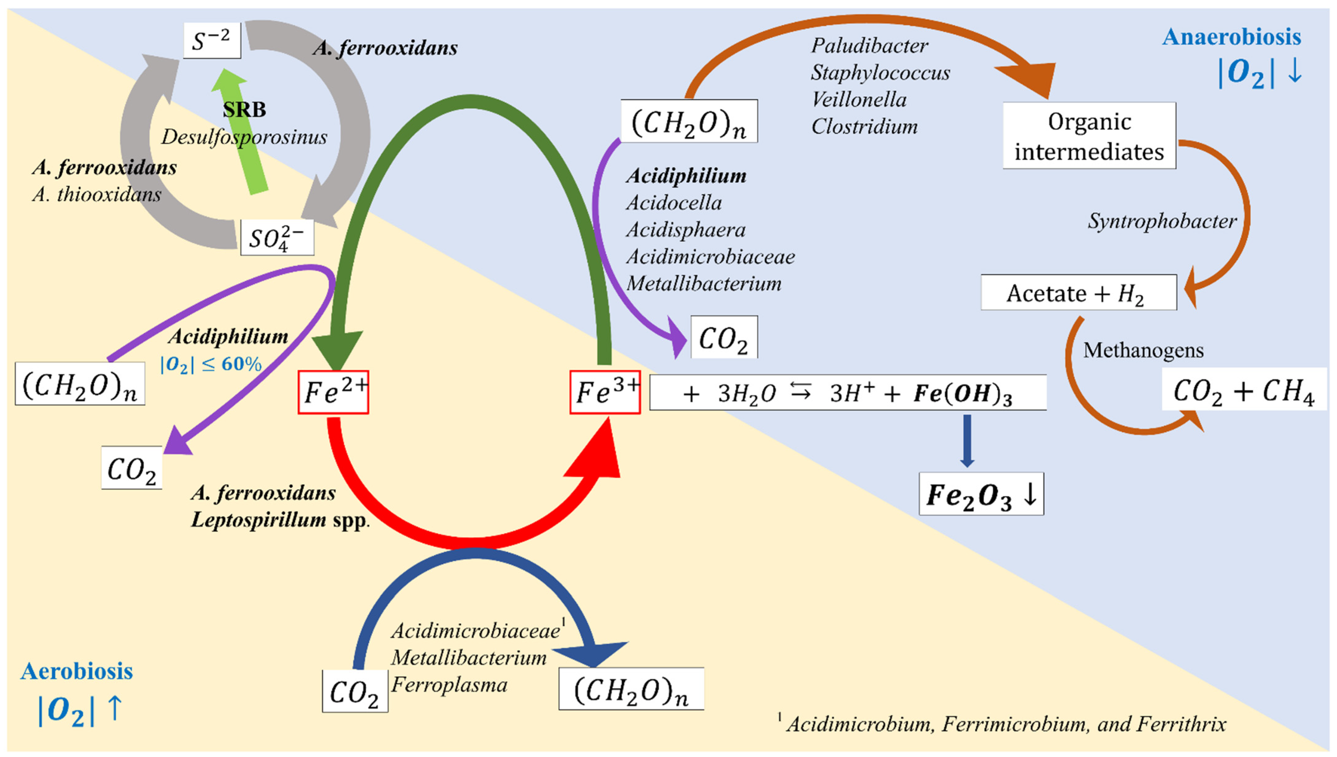 Minerals 11 01349 g003 Minerals 11 01349 g003