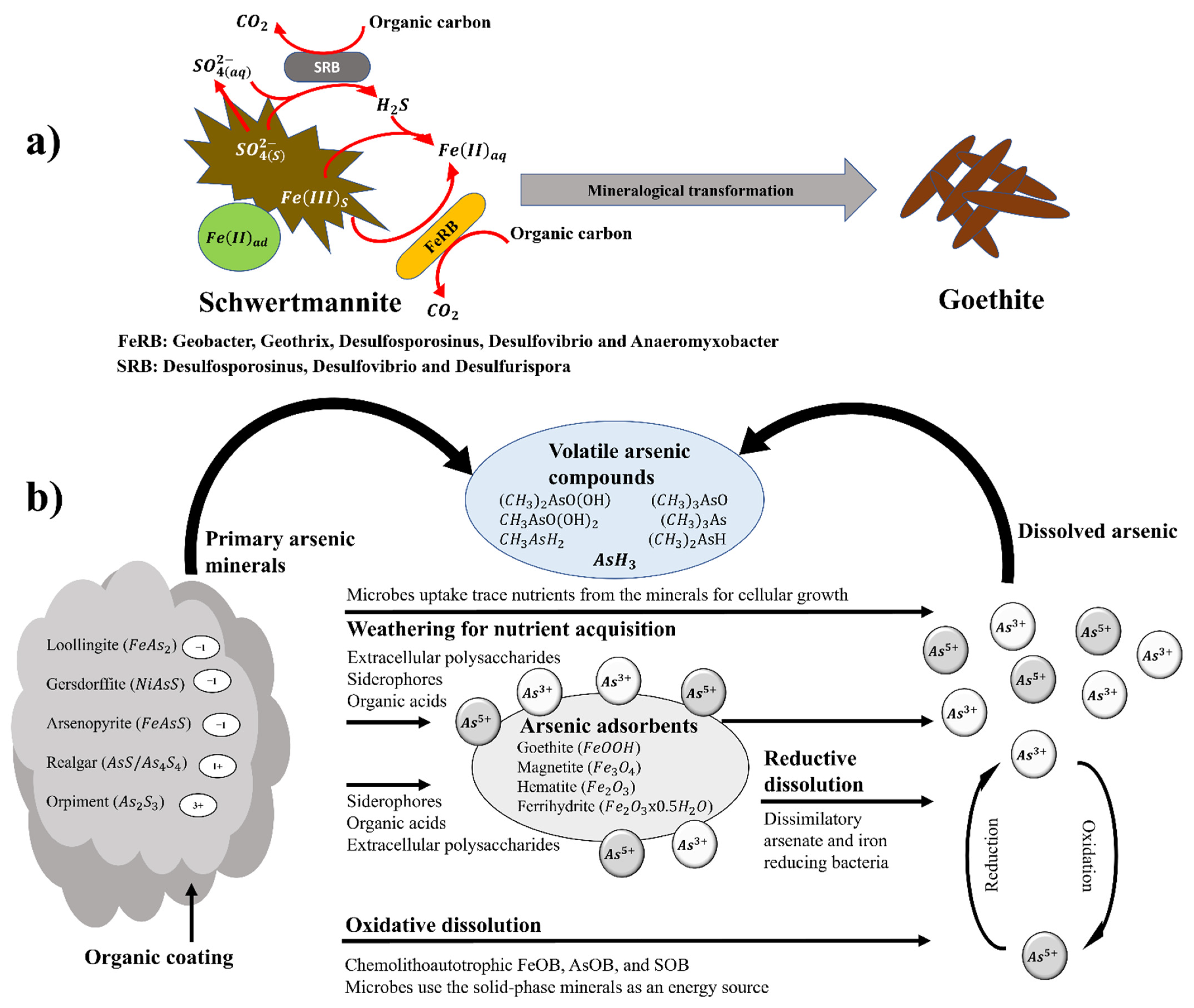 Minerals 11 01349 g005 Minerals 11 01349 g005