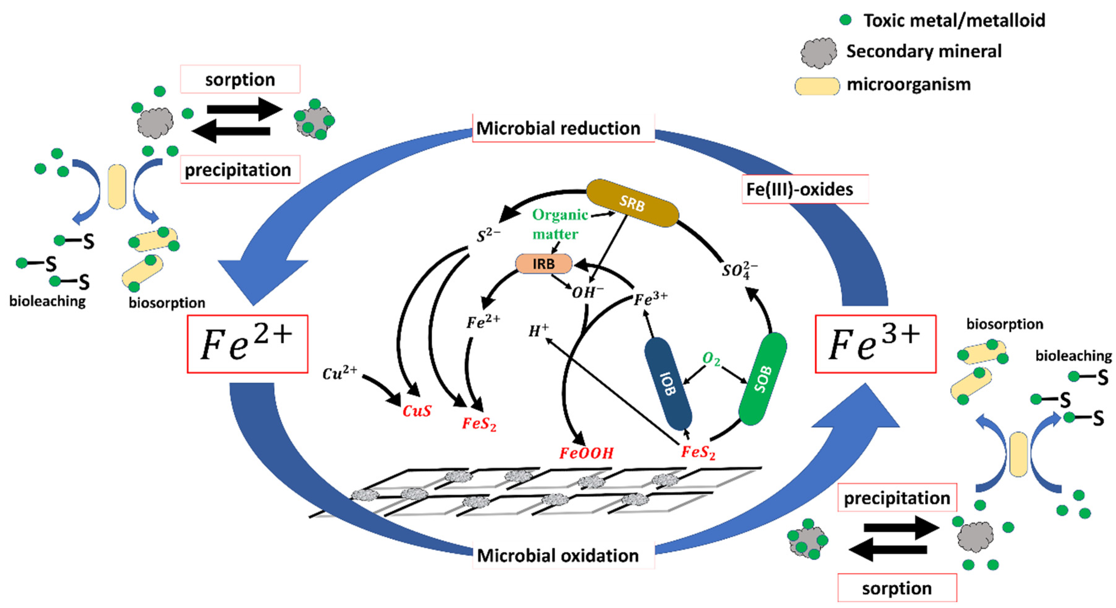 Minerals 11 01349 g006 Minerals 11 01349 g006