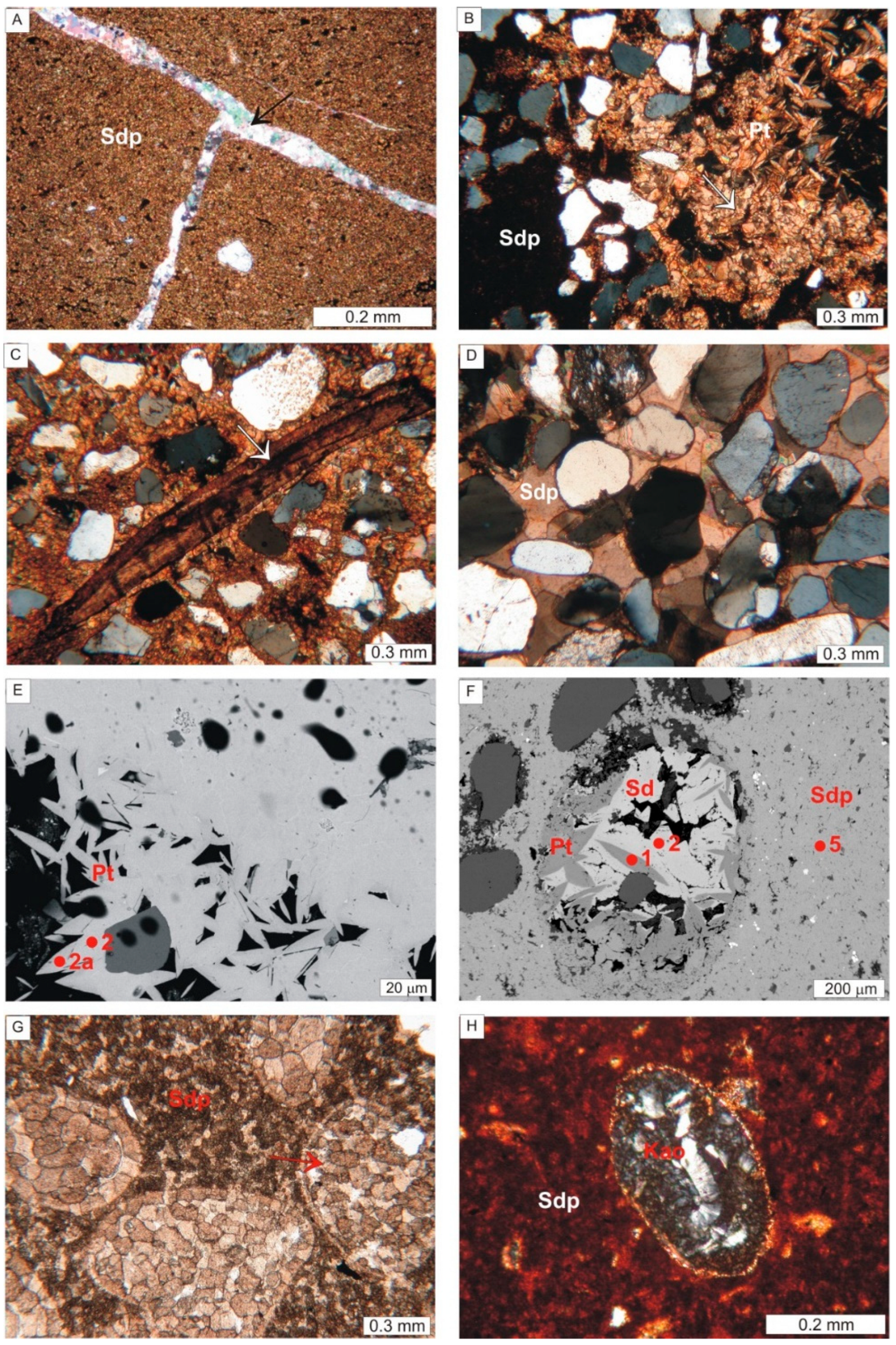 Minerals 11 01353 g003