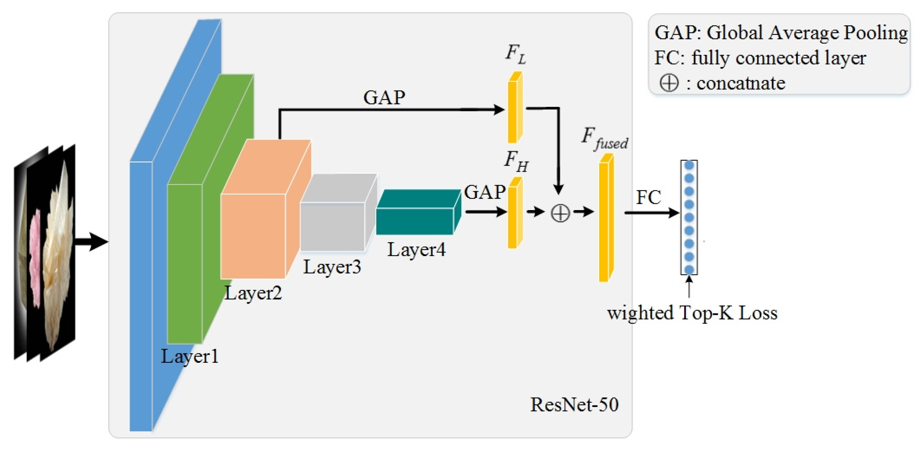 Minerals 11 01354 g001 550