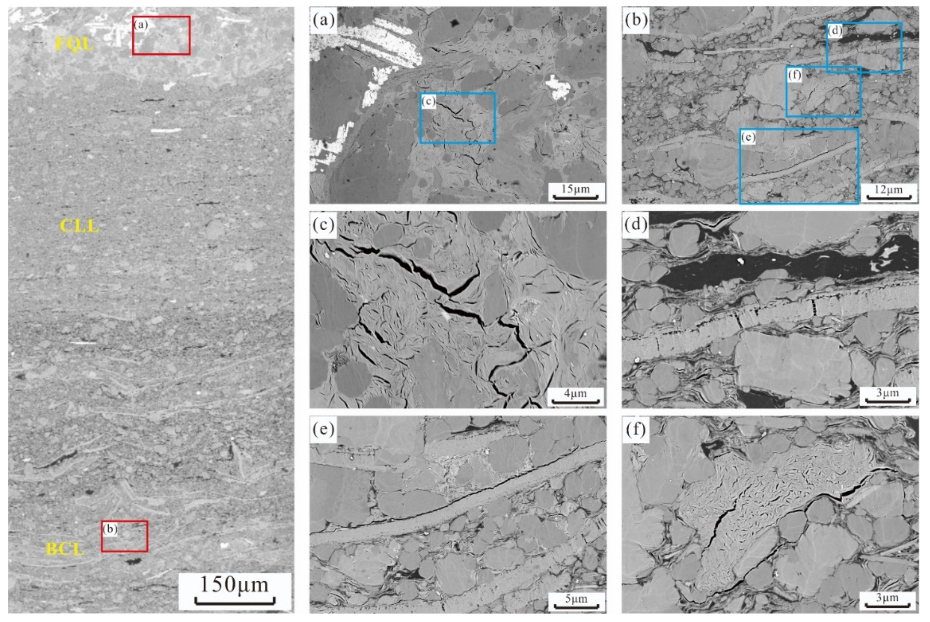 Minerals 11 01360 g006