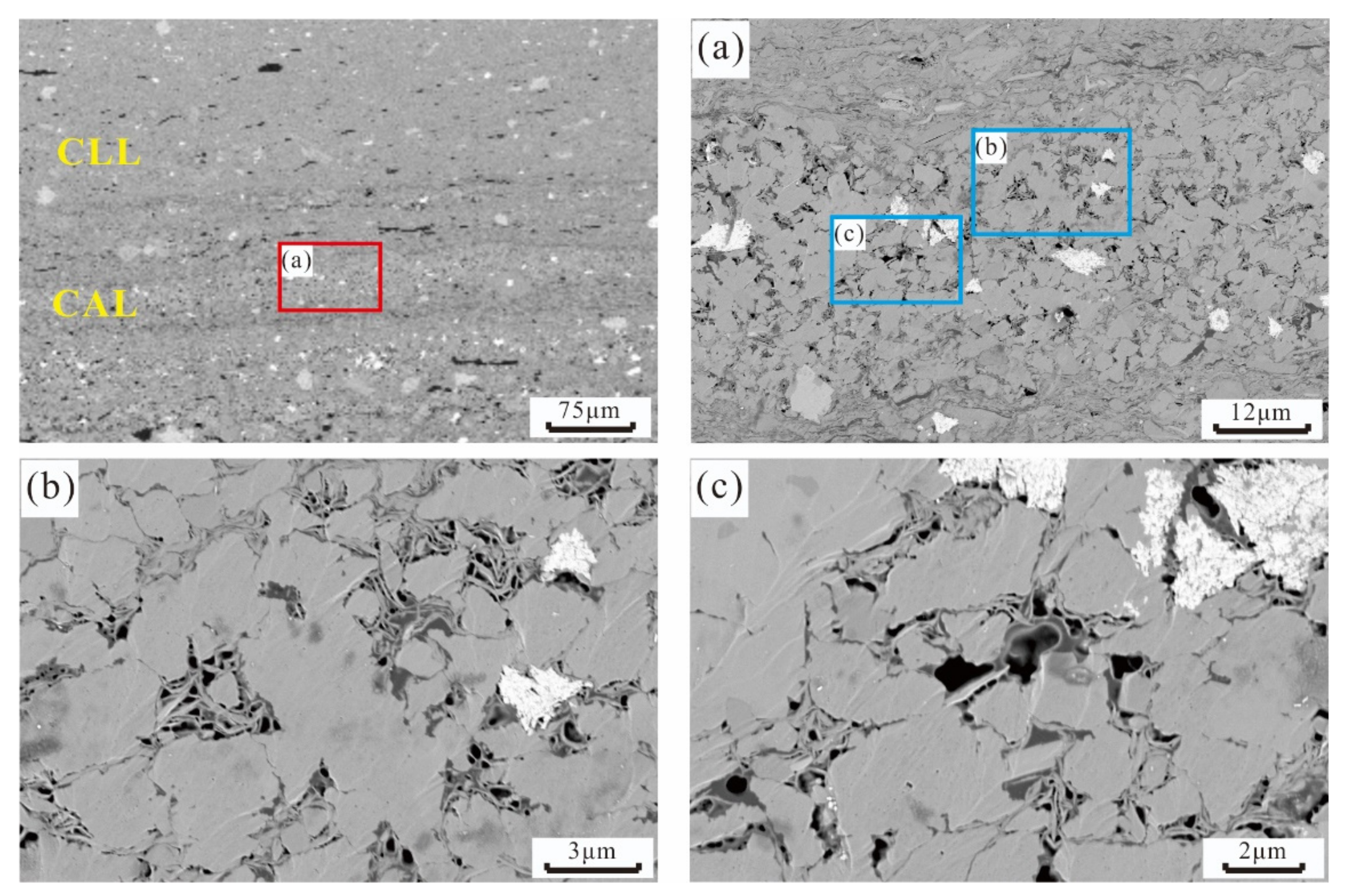 Minerals 11 01360 g007