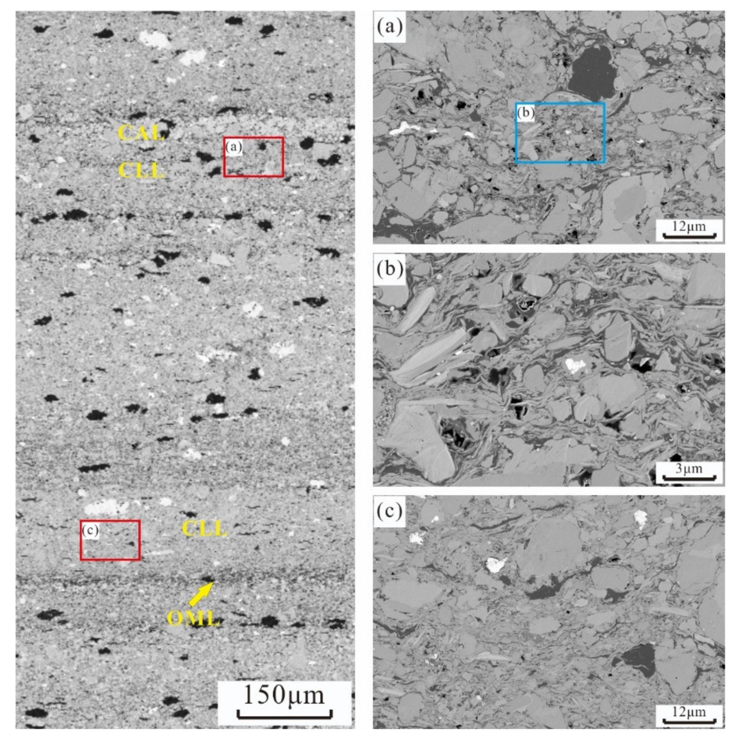 Minerals 11 01360 g008