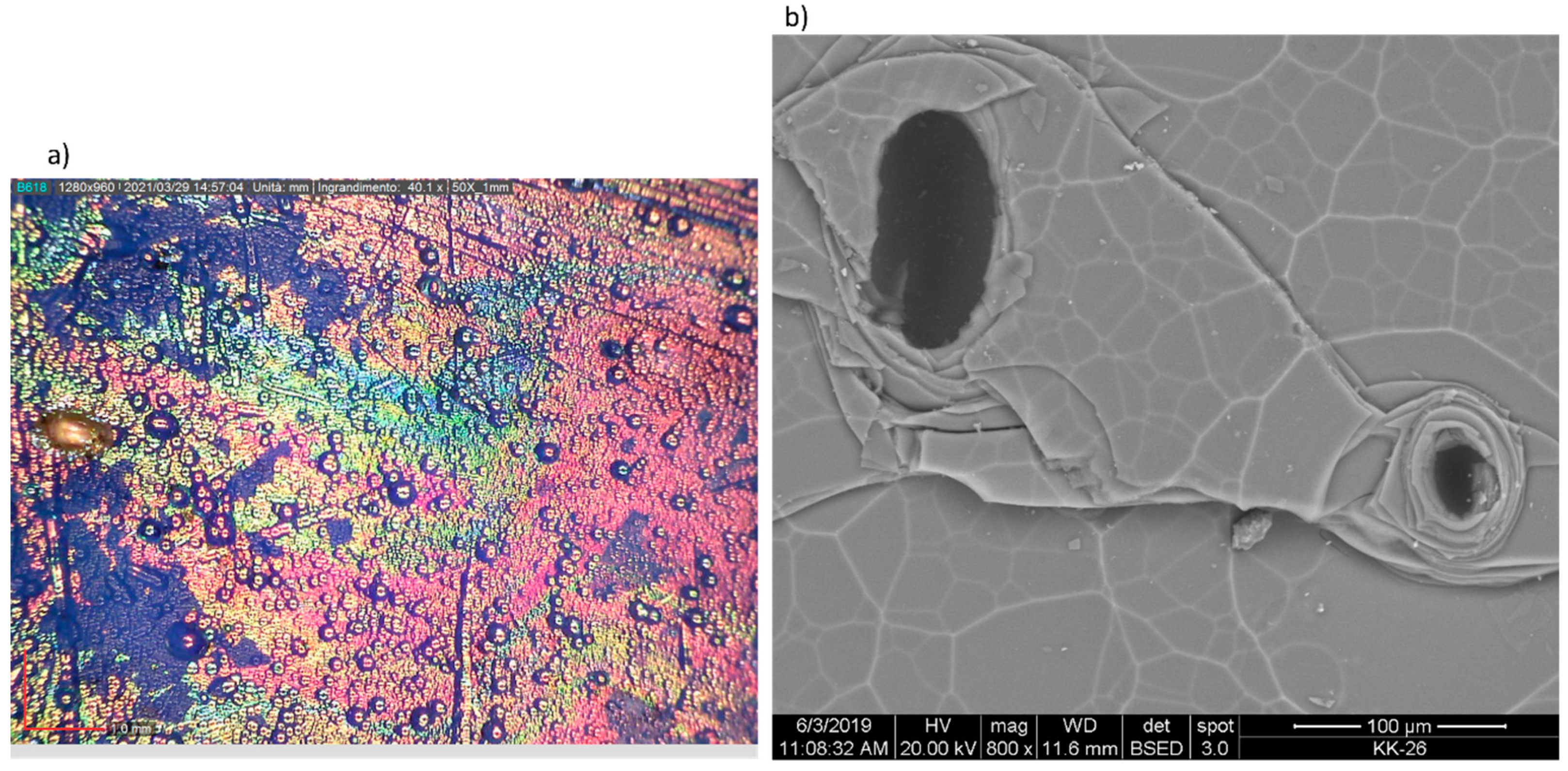 Minerals 11 01364 g002 550