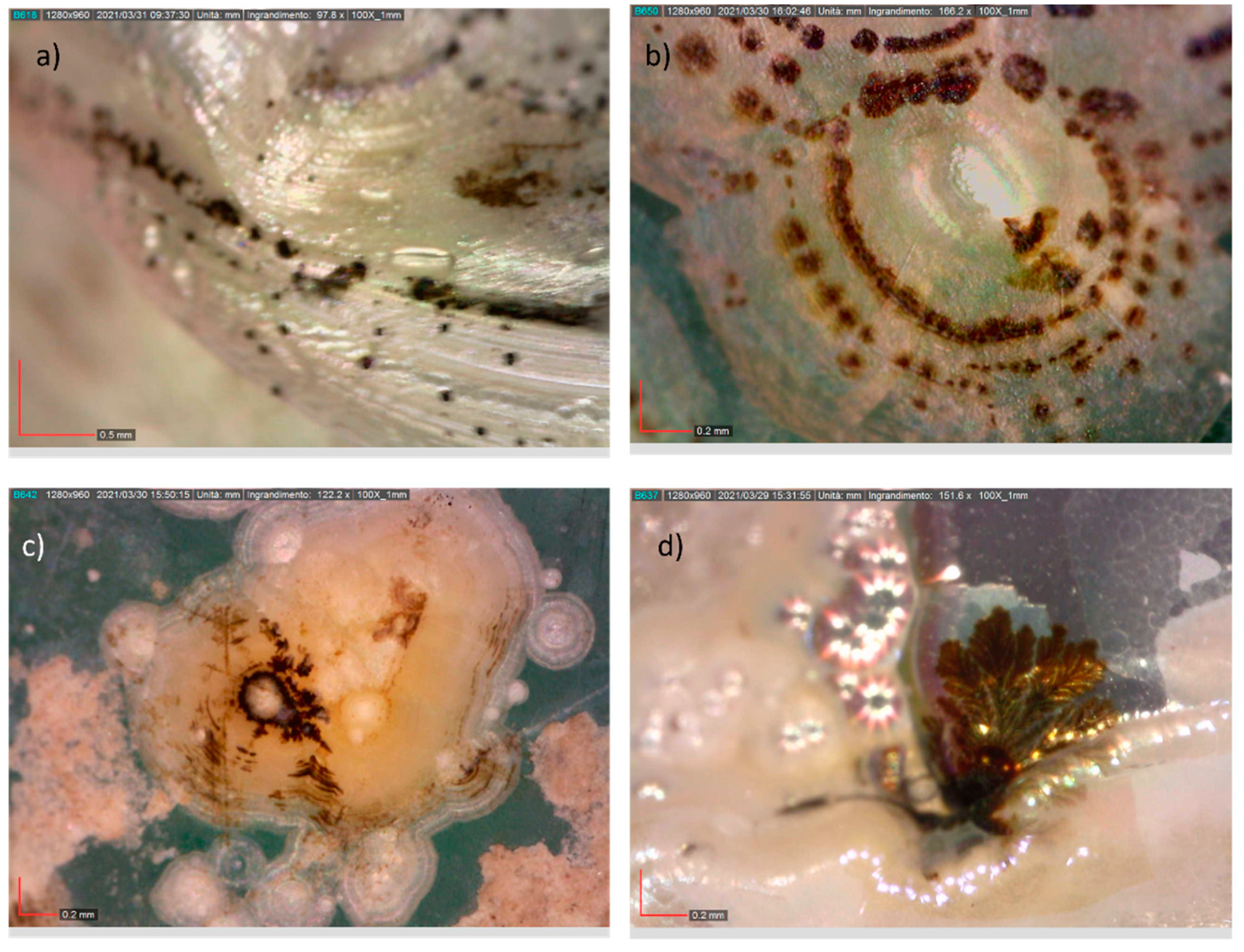Minerals 11 01364 g006 550