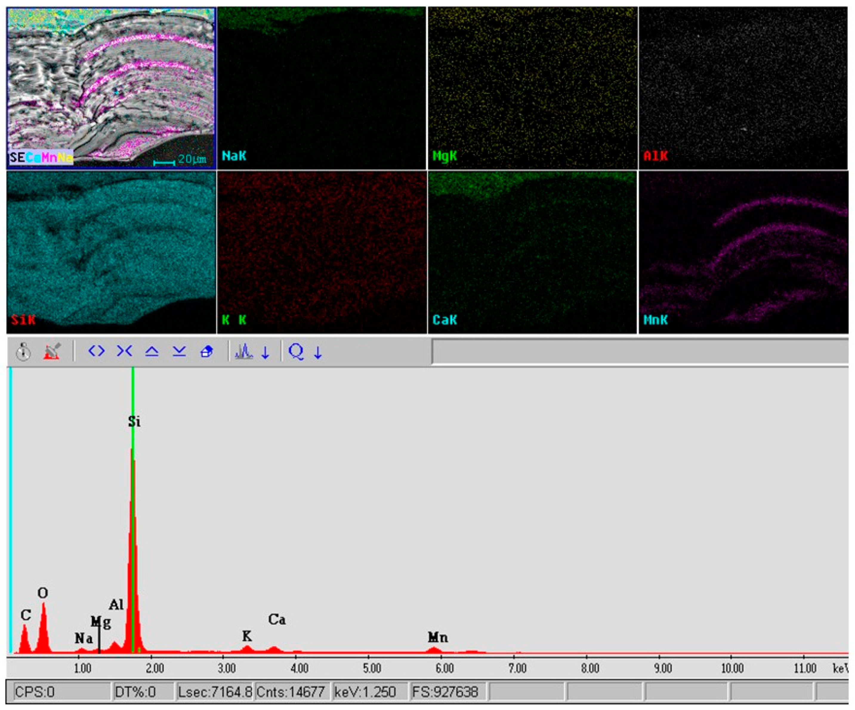 Minerals 11 01364 g008 550