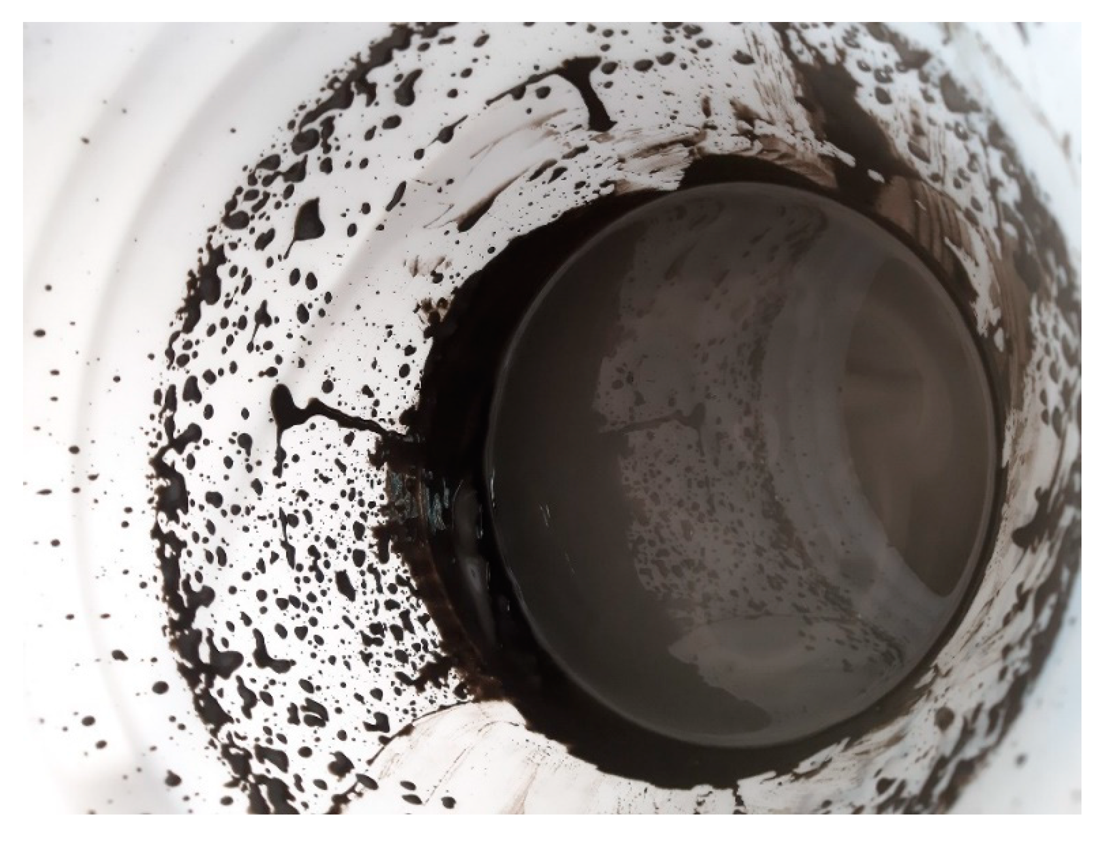 Minerals 11 01367 g010 550