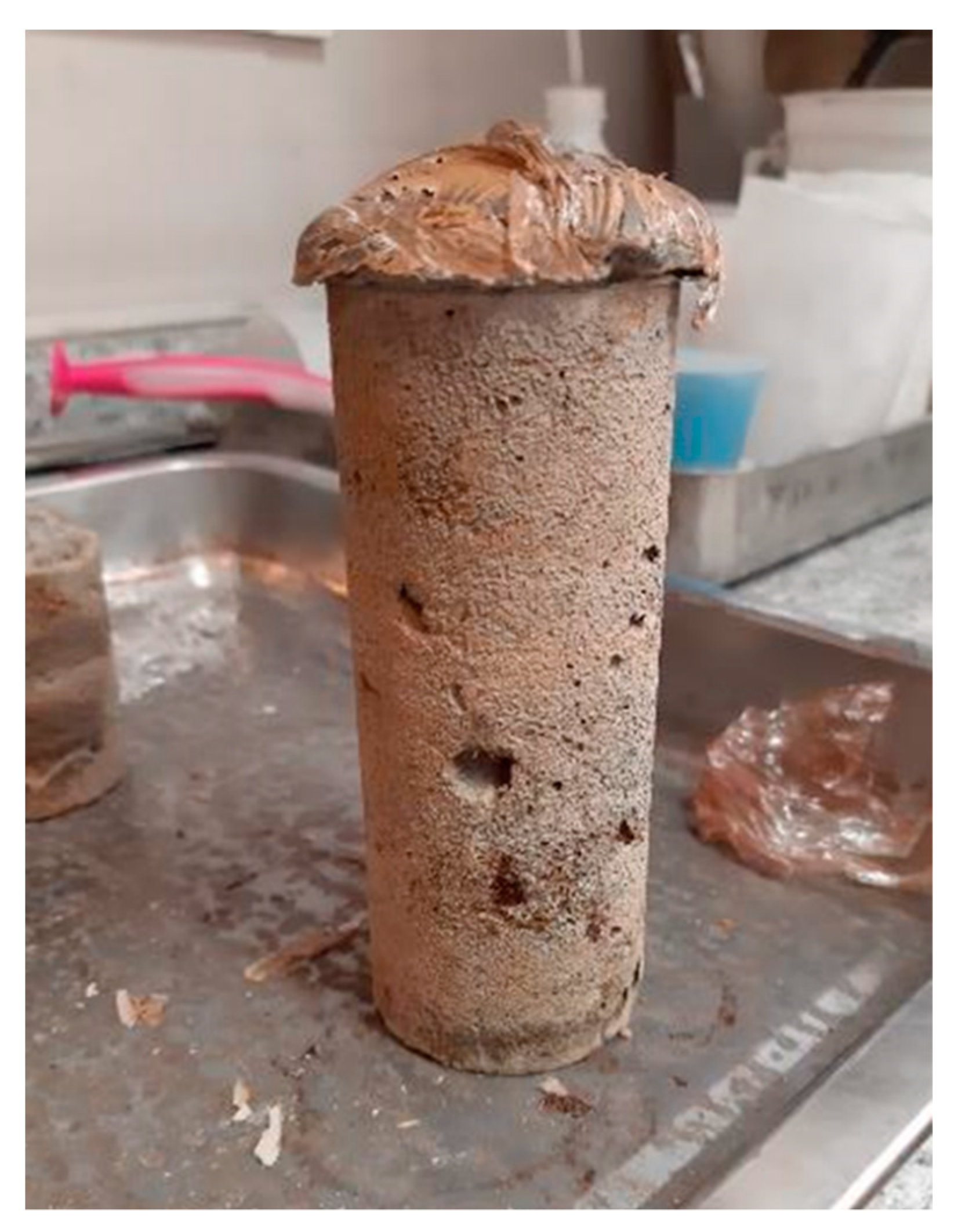 Minerals 11 01367 g016 550