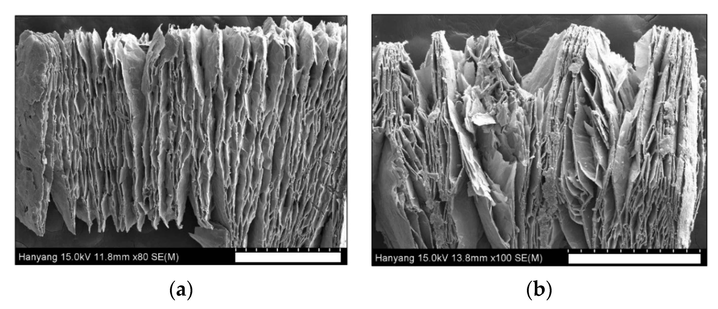Minerals 11 01371 g004