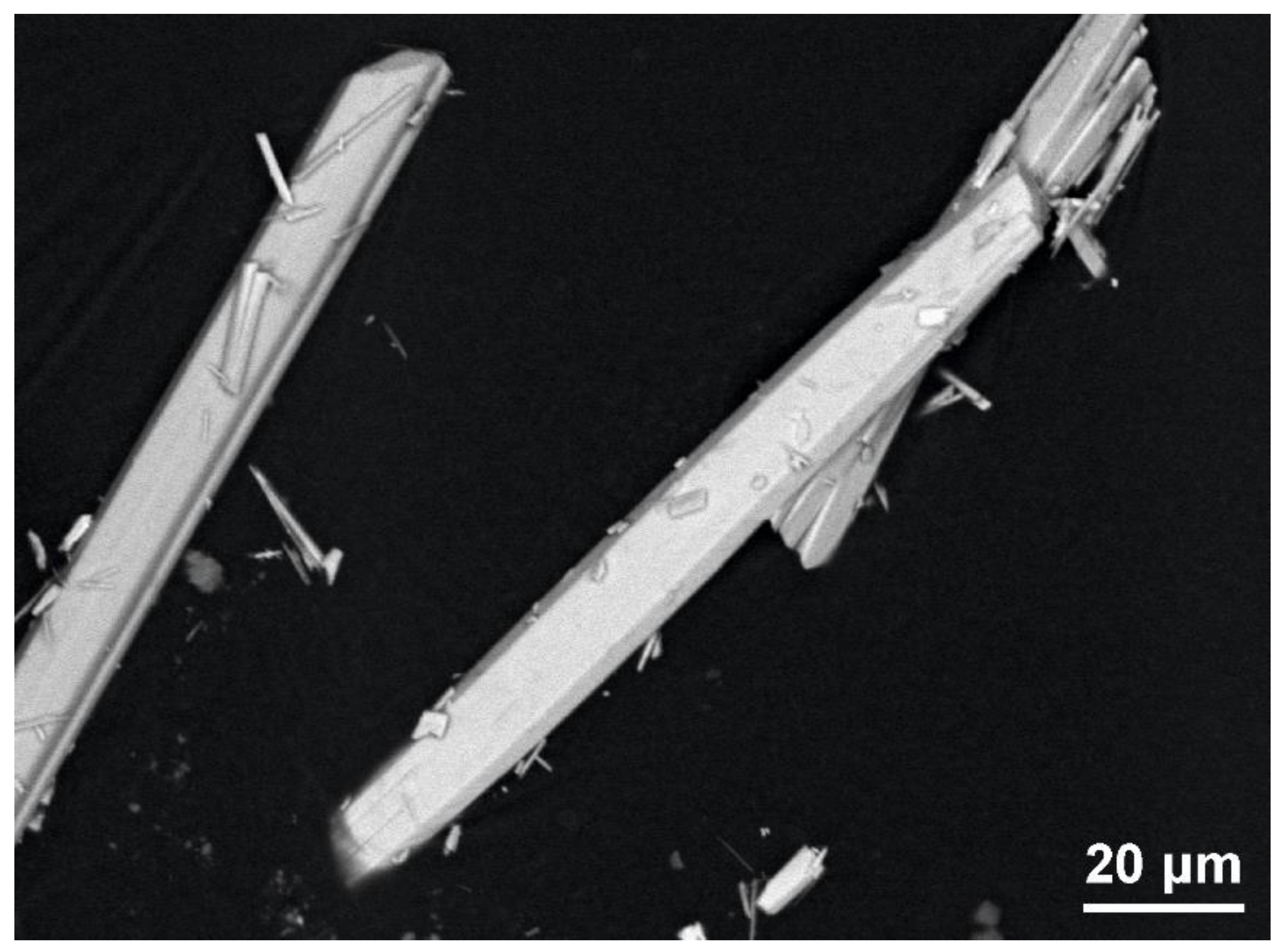 Minerals 11 01372 g001 Minerals 11 01372 g001