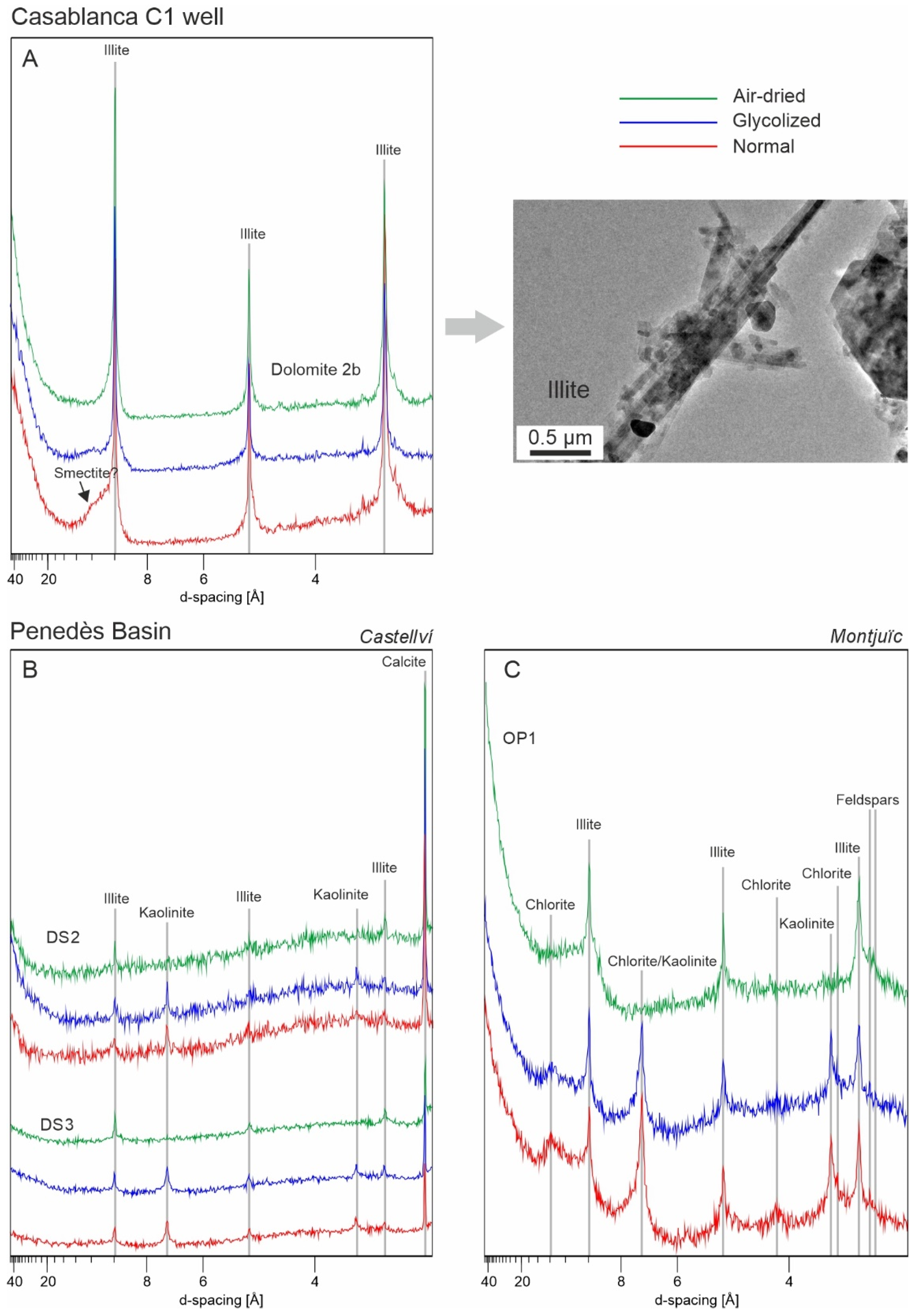 Minerals 11 01382 g004