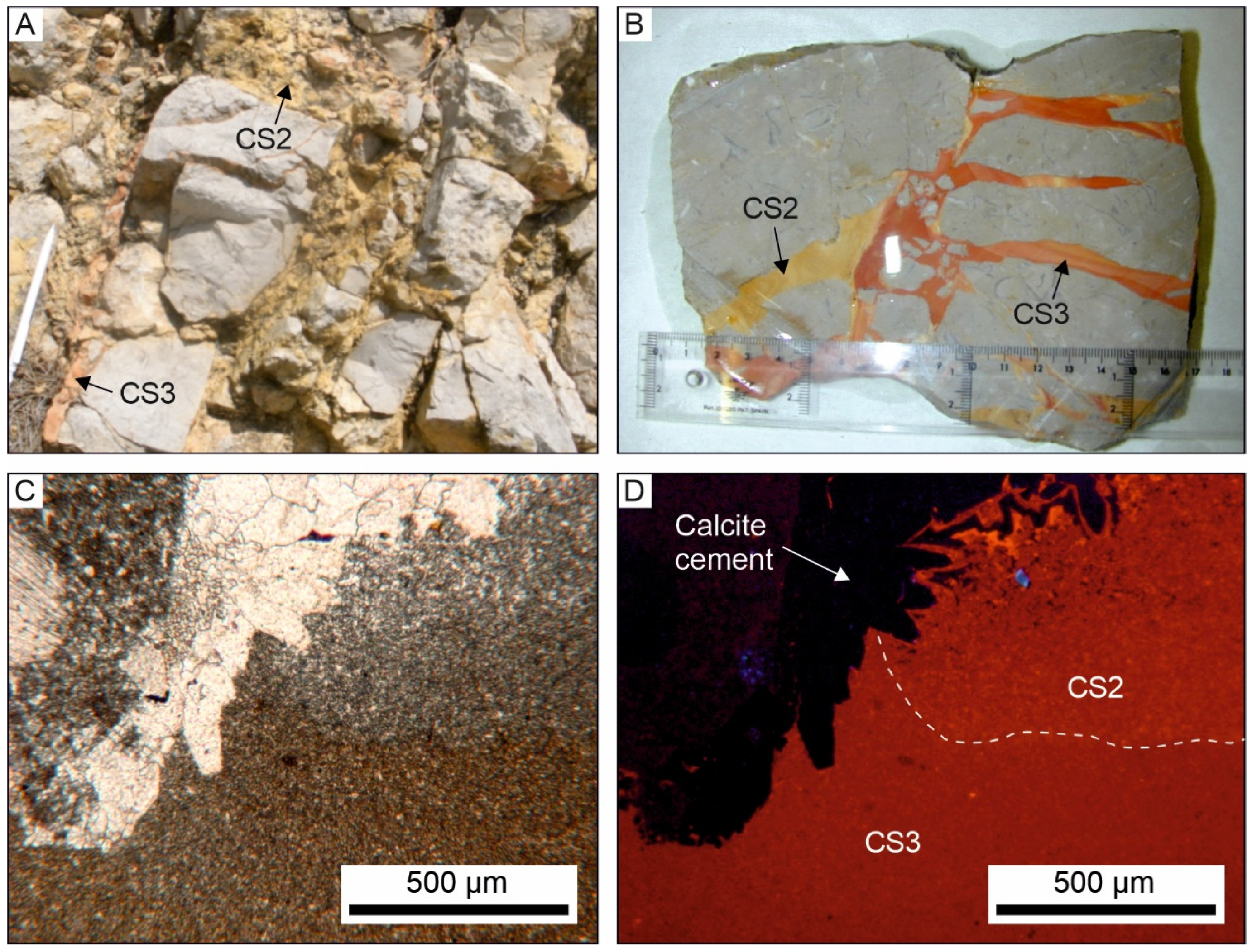 Minerals 11 01382 g008
