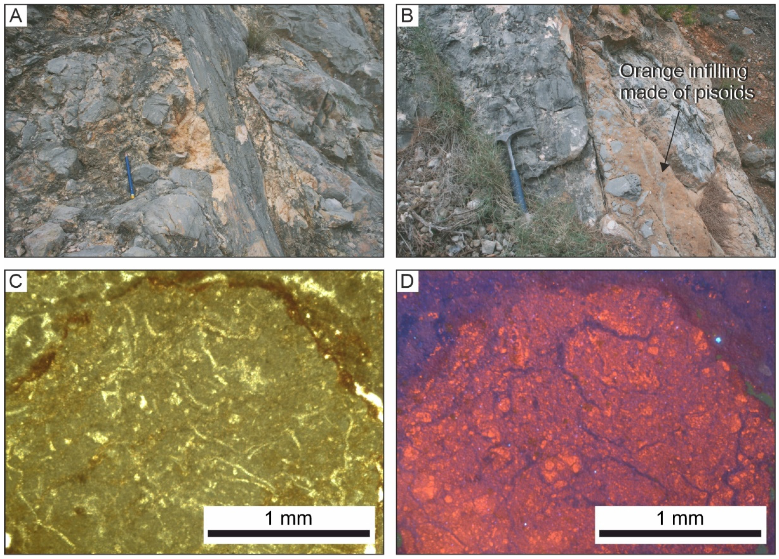 Minerals 11 01382 g009