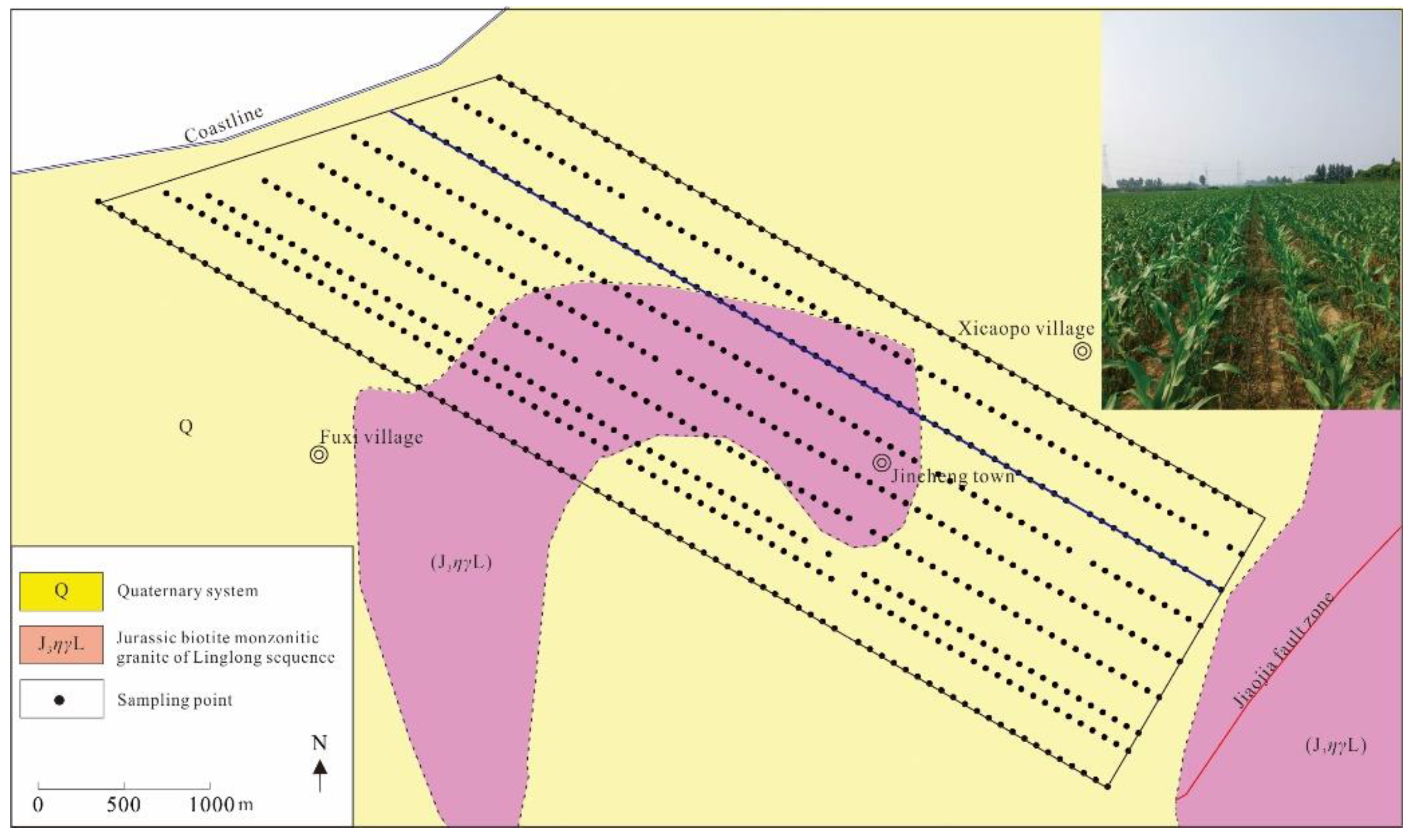 Minerals 11 01383 g004