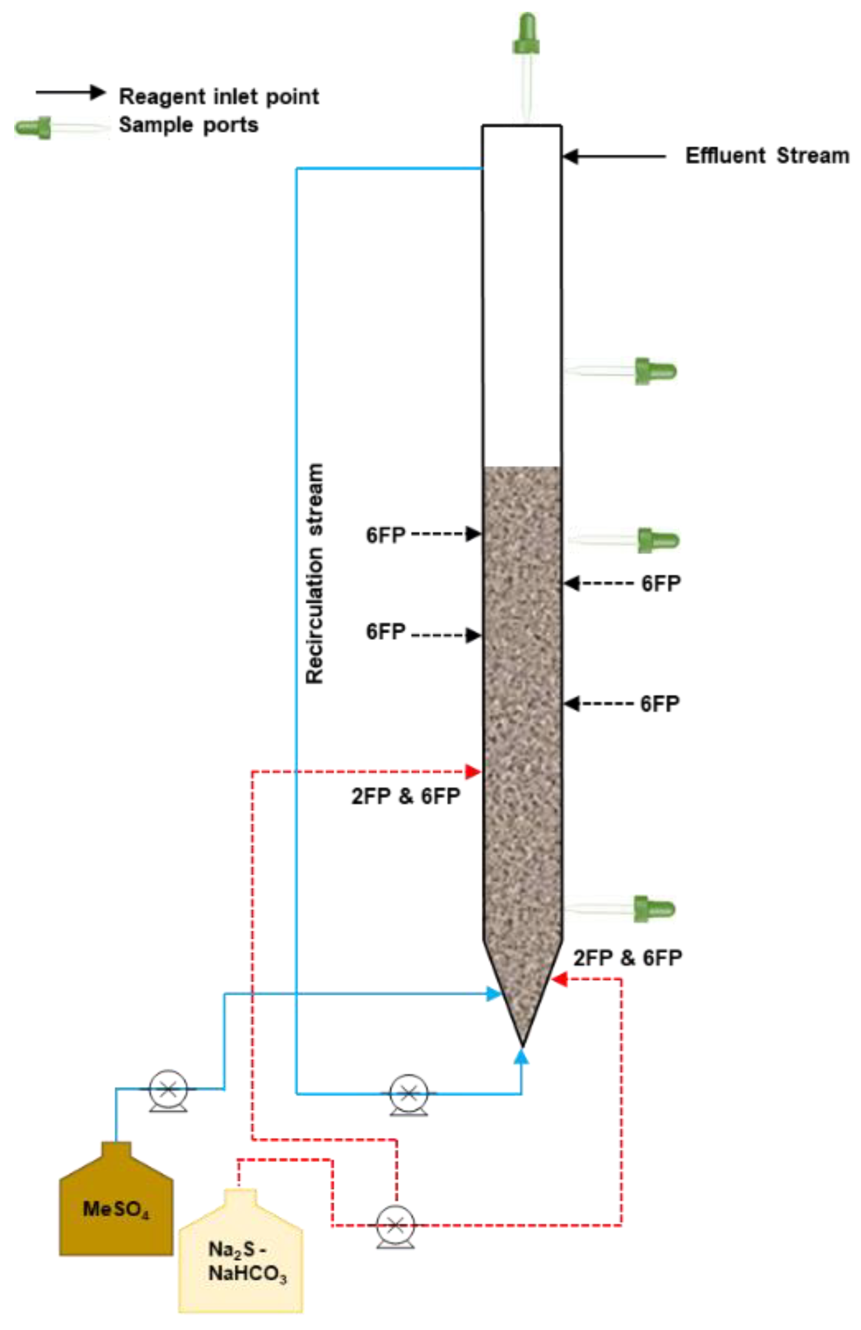 Minerals 11 01385 g003