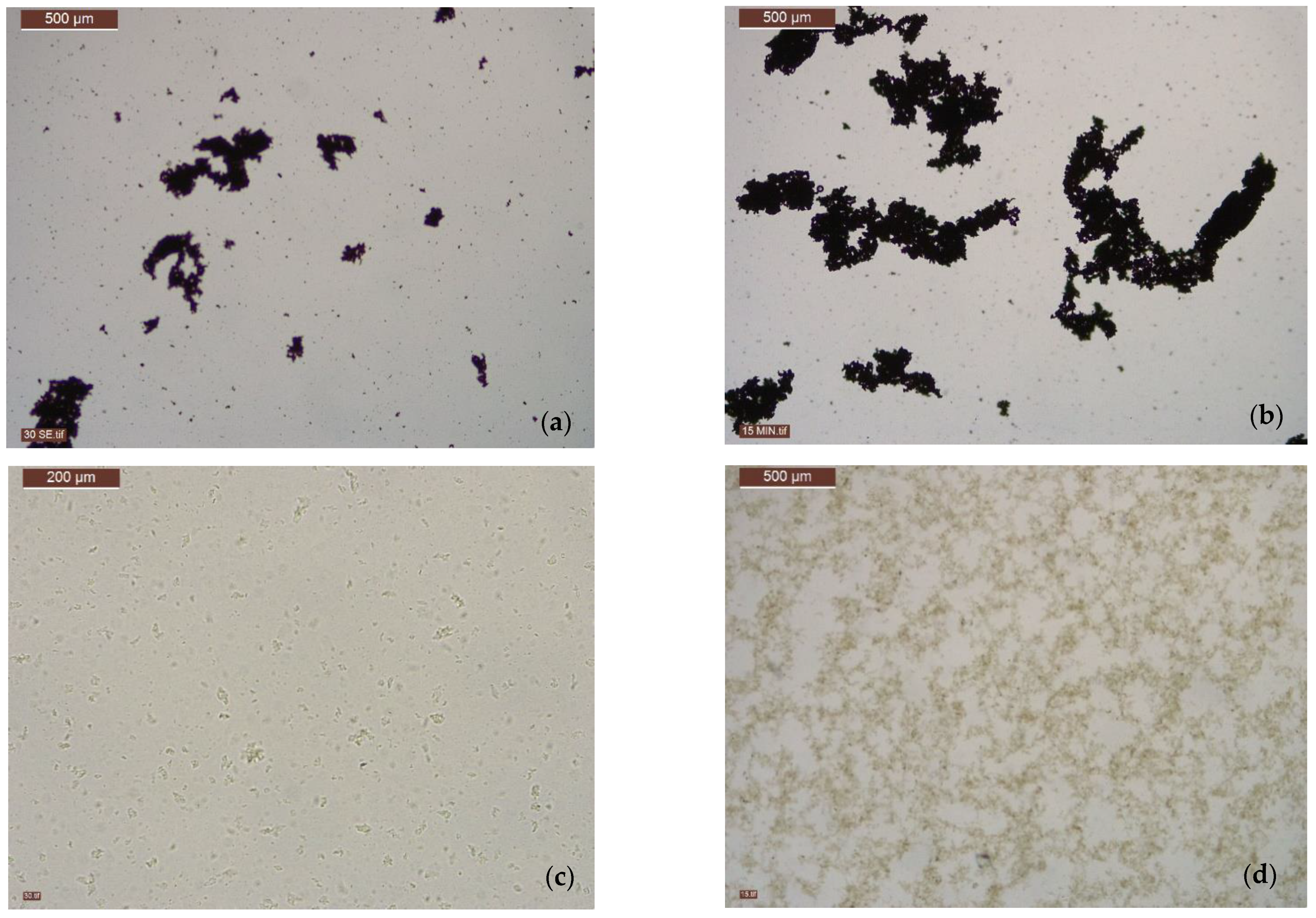 Minerals 11 01385 g007